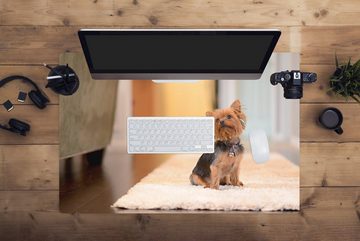 MuchoWow Gaming Mauspad Ein kleiner Yorkshire Terrier sitzt auf einem Teppich (1-St), Büro für Tastatur und Maus, Mousepad Gaming, 90x60 cm, XXL, Großes