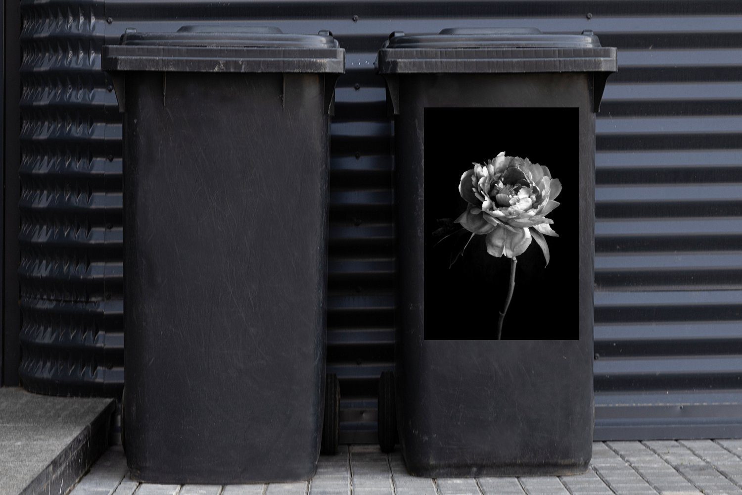 Container, - Pfingstrose (1 MuchoWow Mülleimer-aufkleber, weiß Mülltonne, Abfalbehälter Sticker, St), und schwarz Wandsticker