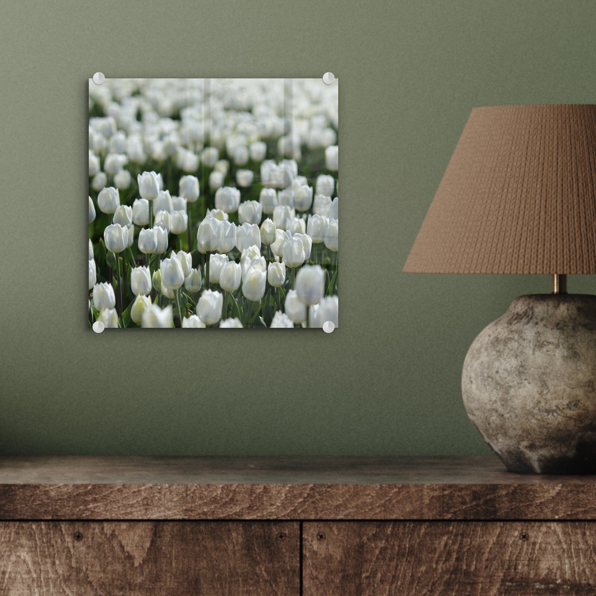 Tulpen Frühling, Gebiet mit (1 - Wandbild Wanddekoration Foto Glasbilder St), Acrylglasbild weißen Ein Glas Glas auf MuchoWow Bilder auf im - -