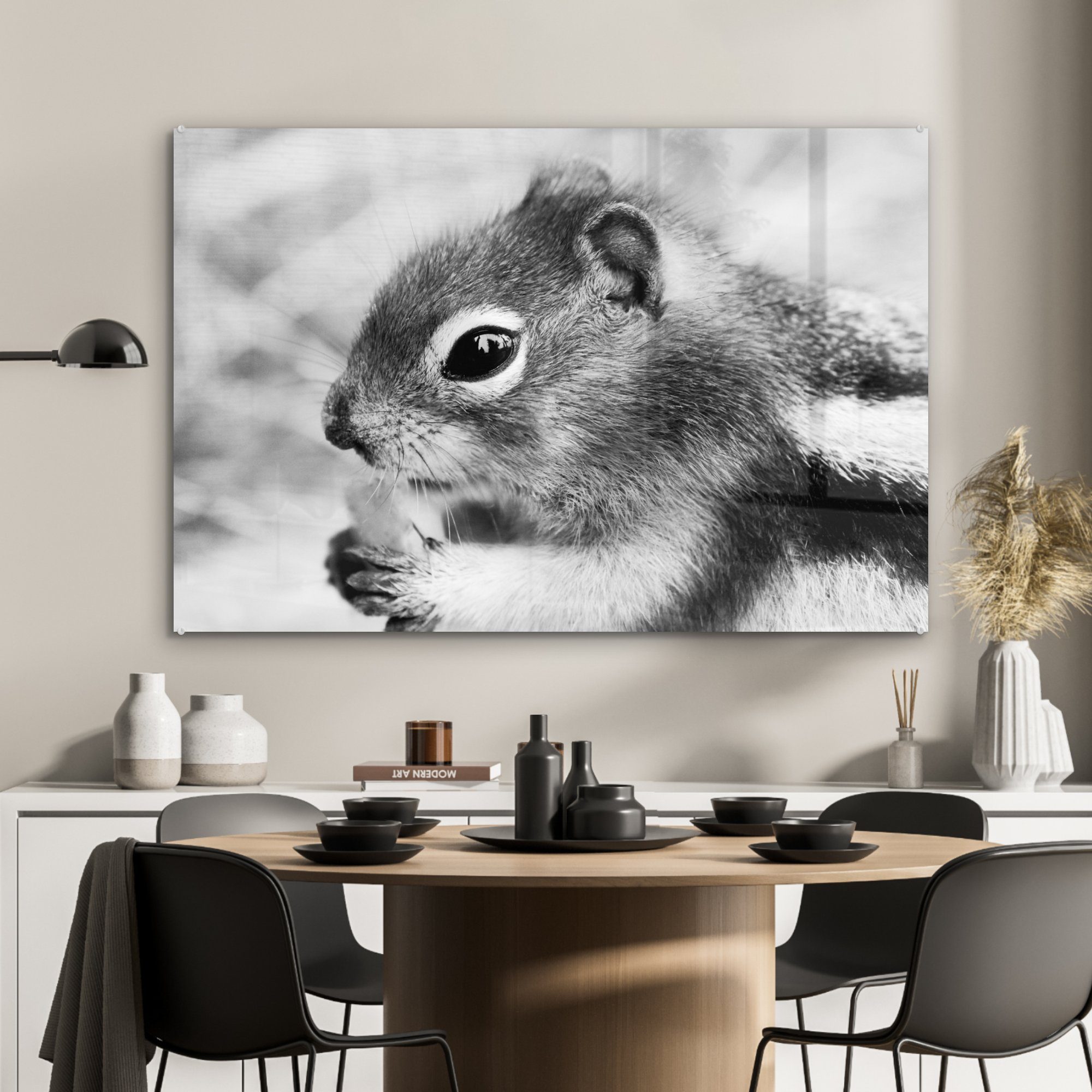 MuchoWow Acrylglasbild Essen Eichhörnchen weiß, (1 dunstigen St), & Hintergrund Acrylglasbilder und auf Wohnzimmer schwarz Schlafzimmer in