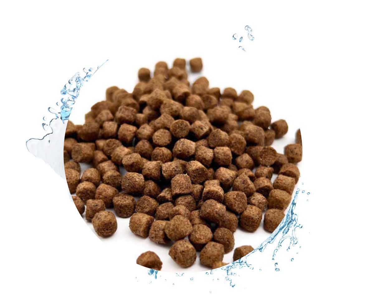 Warnick´s Tierfutterservice Koifutter Top Energy Plus - Leistungsfutter für Koi / Zierkarpfen 6mm, Hauptfutter für: Fische, Koi, Zierkarpfen, Teichfische