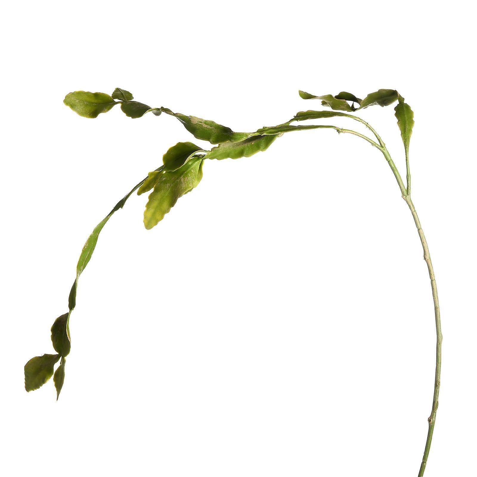 Kunstzweig Kunst-Zweig Kaktus, Depot, aus Kunststoff, Draht, L 100 Zentimeter