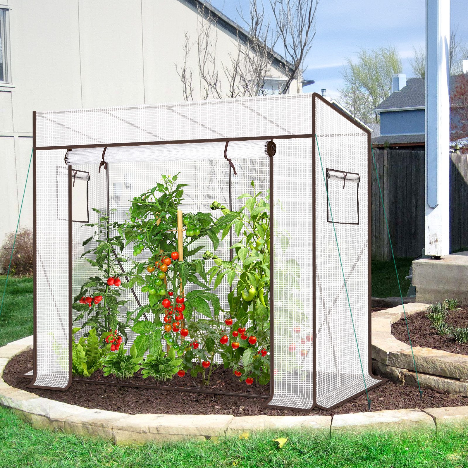 Sekey Gewächshaus Schrägdach Foliengewächshaus Tomatenhaus Begehbares Tomatengewächshaus, 200x77x146/169cm, 140g/m² PE Plane Wasserdicht Wetterfest Pflanzenhaus