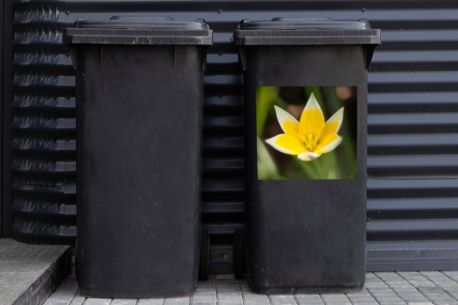 Container, Garten Sticker, Blume - MuchoWow Gelb - Mülleimer-aufkleber, Wandsticker (1 Mülltonne, Abfalbehälter St),