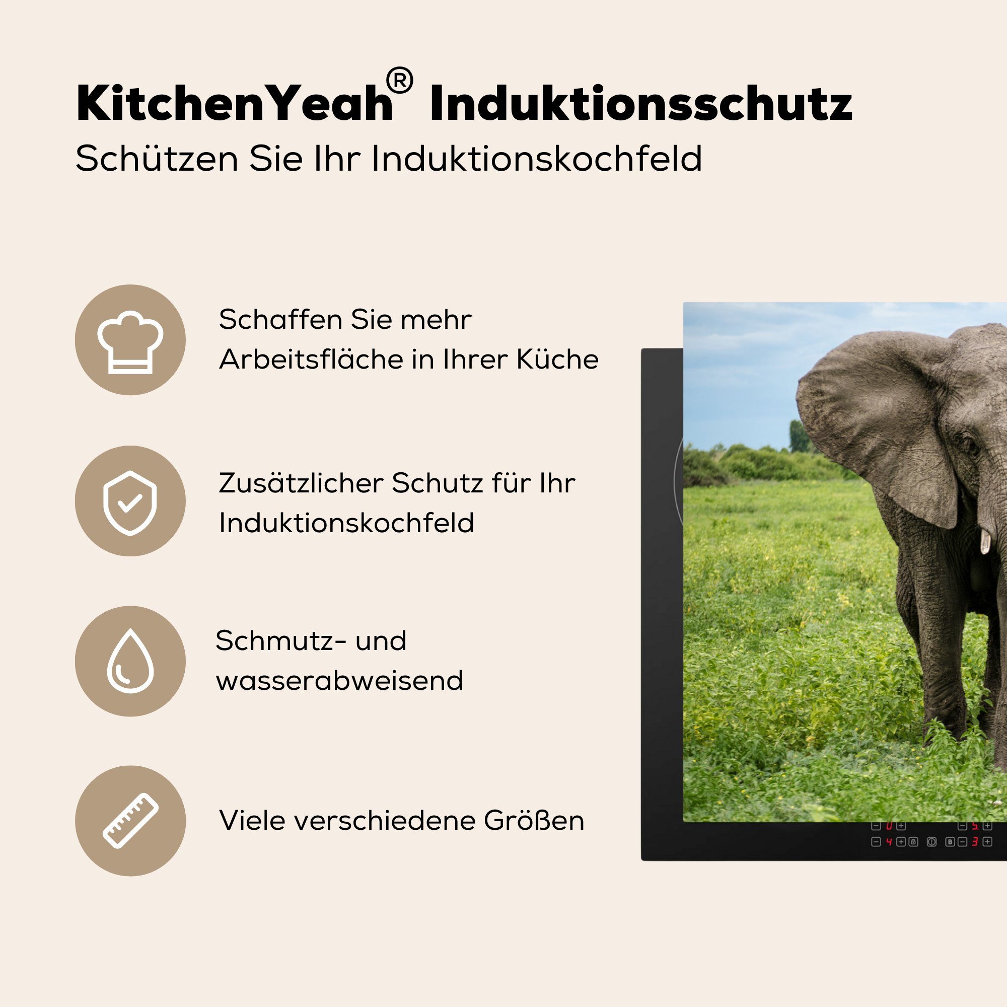 tlg), für Park, Ceranfeldabdeckung - Schutz 81x52 die - Elefant (1 Natur Herdblende-/Abdeckplatte Vinyl, cm, Induktionskochfeld MuchoWow küche,