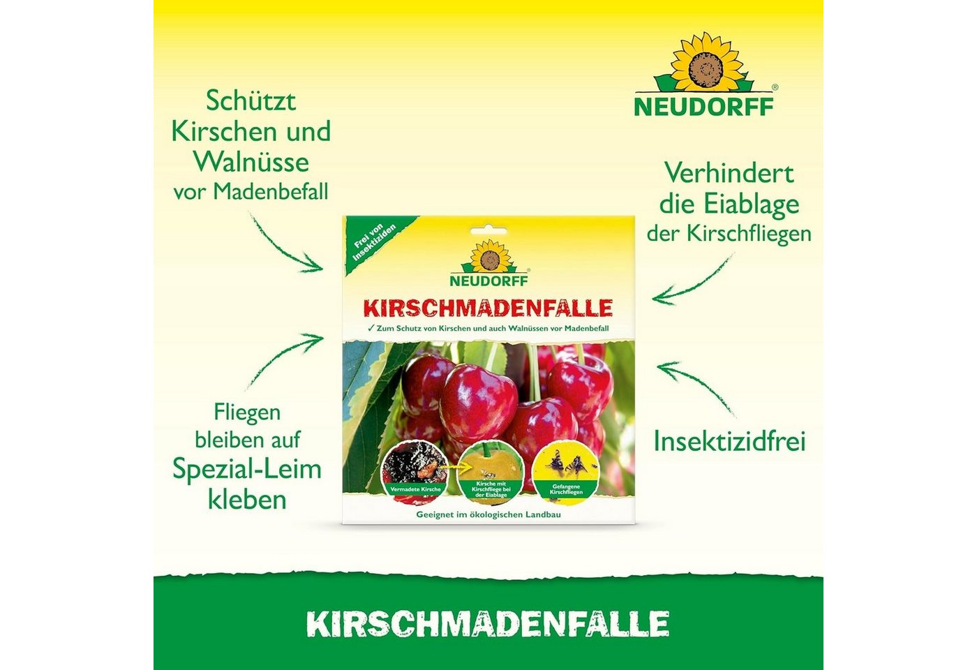 Thumbnail - Neudorff Klebefalle KirschmadenFalle 7 Stück, zum Schutz von Kirschen vor Madenbefall