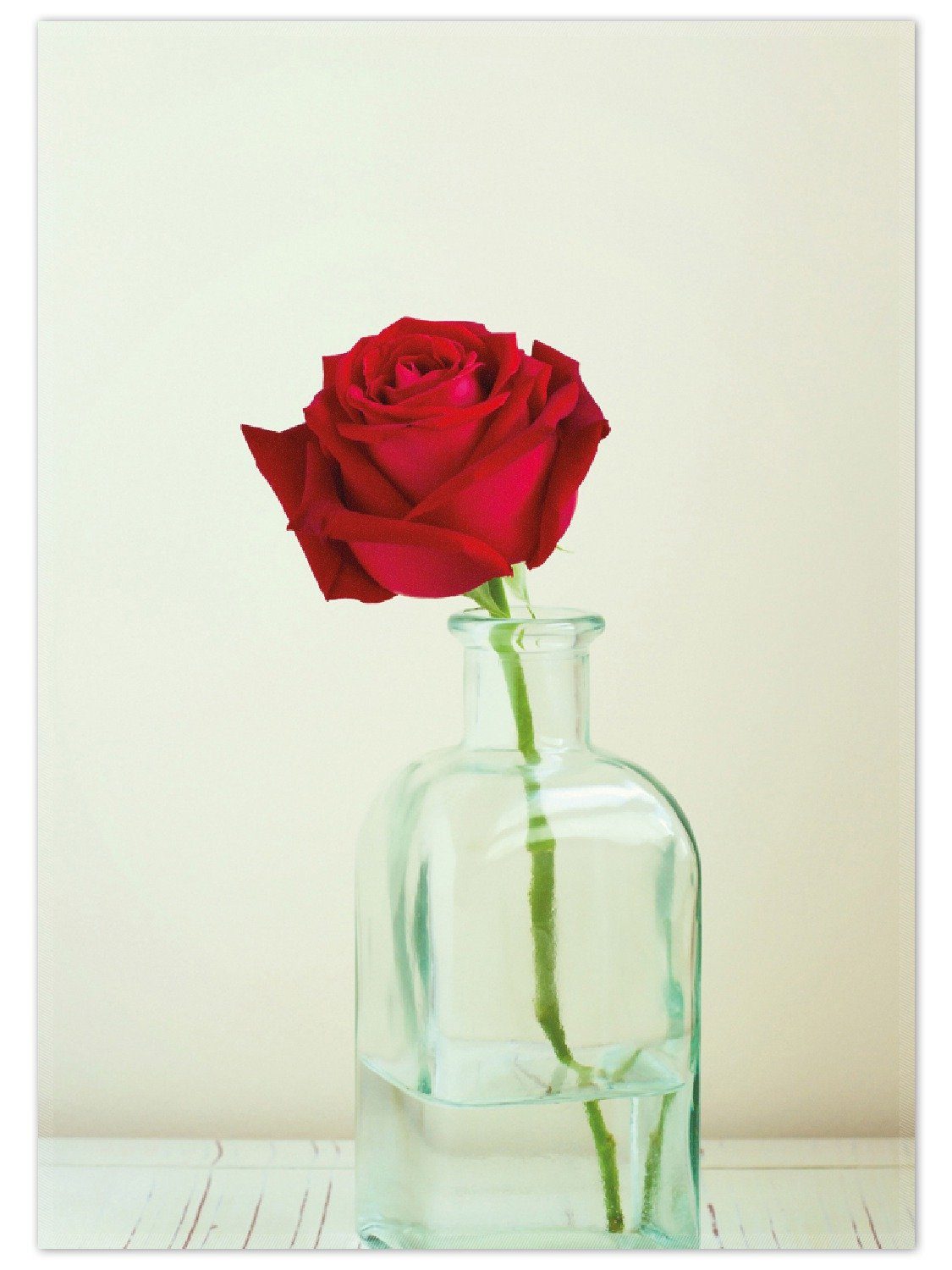 Wallario Teppich Rote Rose in Glasvase, rechteckig, rutschfest