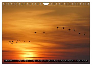 CALVENDO Wandkalender Sylt ist Meer (Wandkalender 2025 DIN A4 quer), CALVENDO Monatskalender