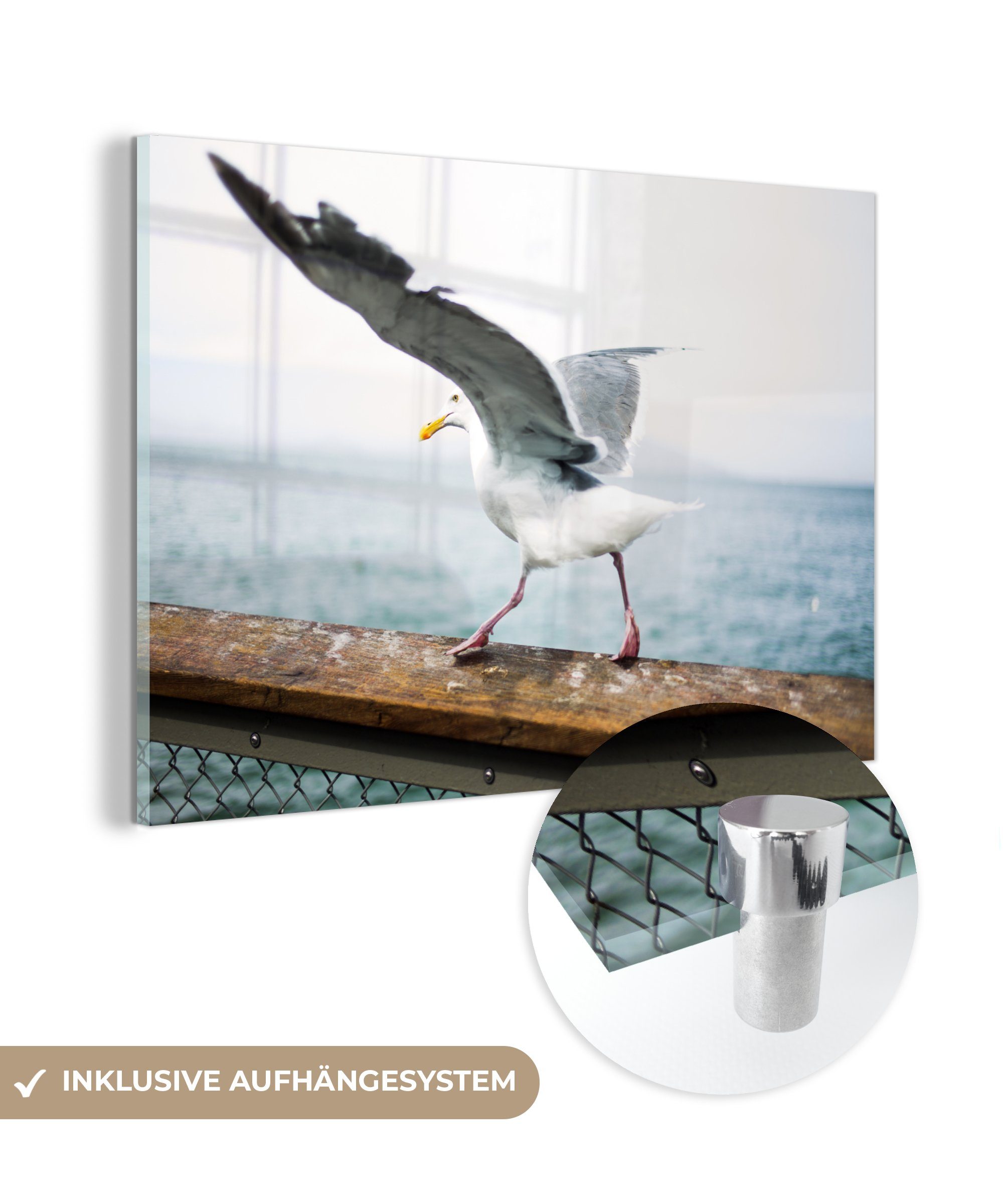 MuchoWow - Schlafzimmer St), Acrylglasbild Acrylglasbilder Vogel Wohnzimmer - & (1 Tiere Möwe,