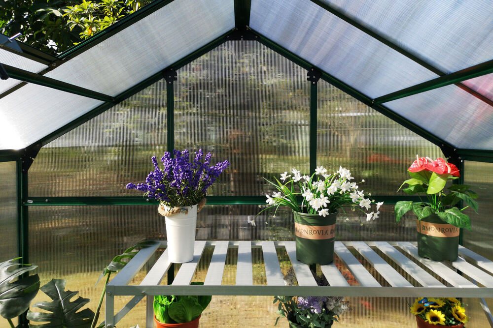 OUTFLEXX Gewächshaus grün | Rabatt: 31... OUTFLEXX Gewächshaus grün | Rabatt: 31...