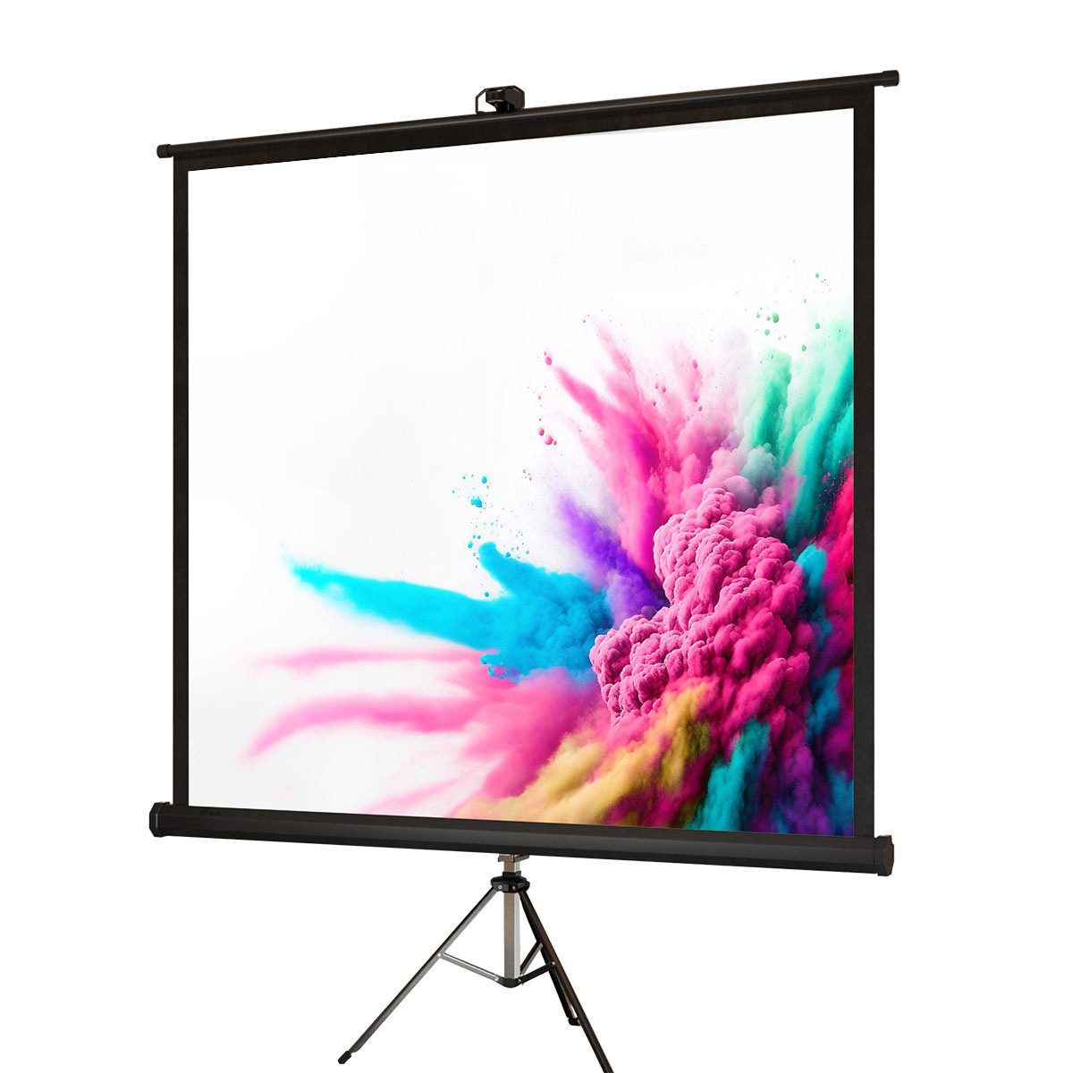 GGMMÖBEL PANTERA Motorleinwand