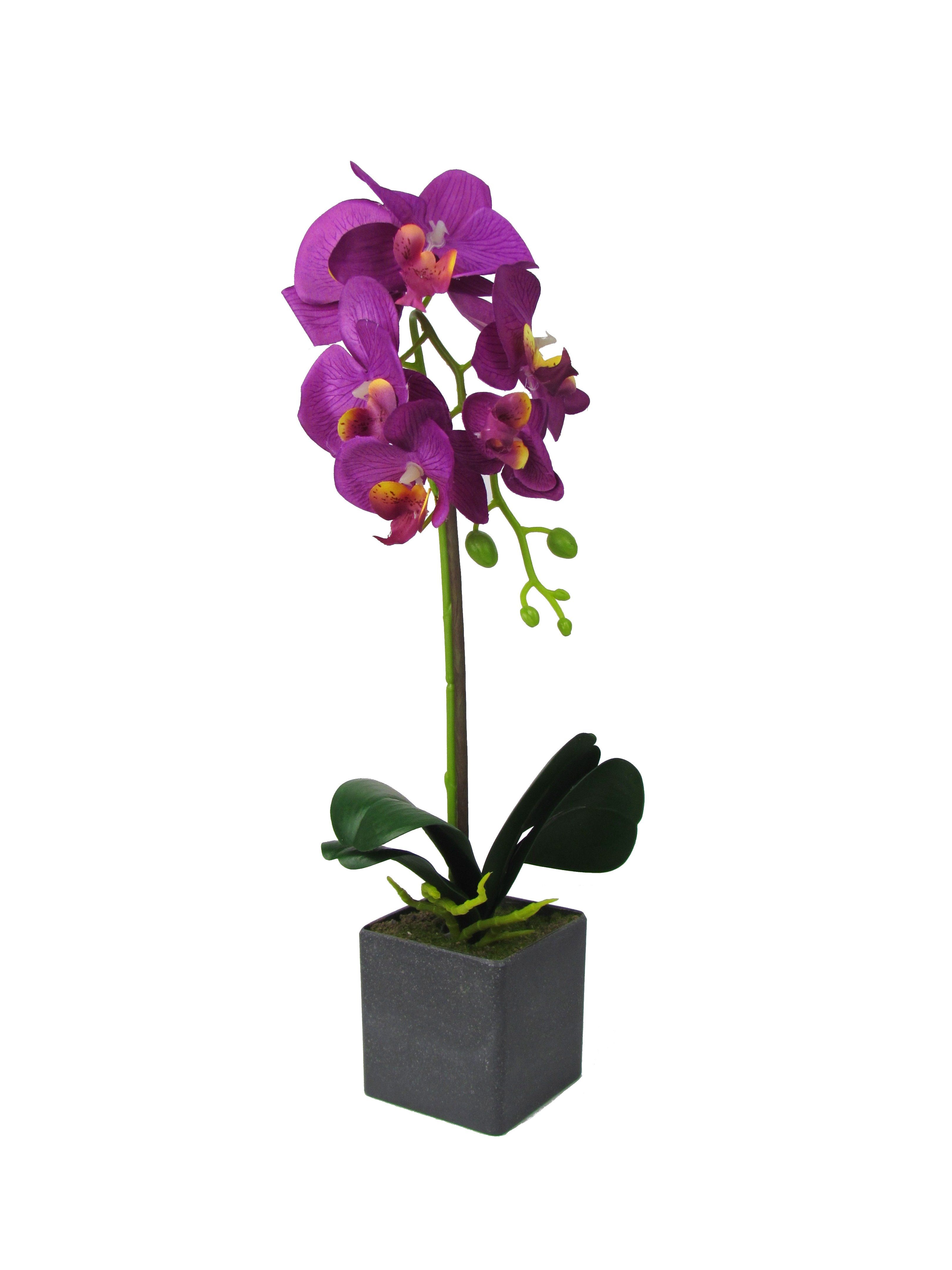 Kunstblume Kunst Orchidee im rechteckigen Topf – Farbecht - Pflegeleicht Orchidee, Ibergarden, Höhe 40 cm, Verschiedene Farben und Größen