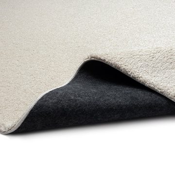 Teppich Klassischer Wohnzimmerteppich im Unidesign in creme, Teppich-Traum, rechteckig