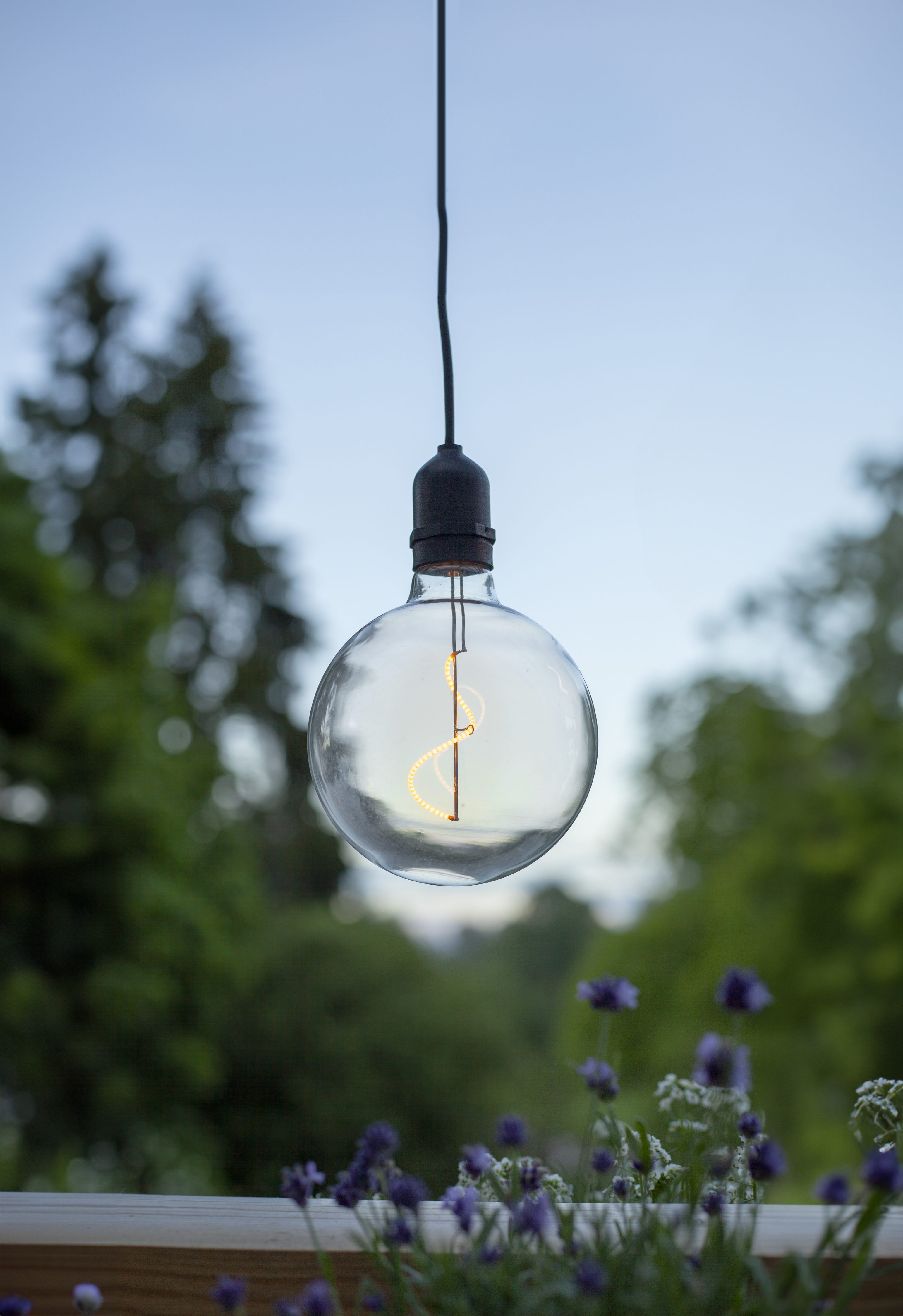 STAR TRADING LED-Hängeleuchte Hängeleuchte Bowl, Timerfunktion, LED fest integriert, Warmweiß, Glaskugel, warmweißes Filament-Licht, Batteriebetrieb, Timer
