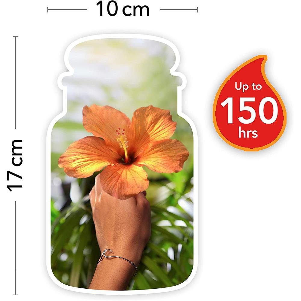 Yankee Candle Duftkerze The Last Paradise, im Glas, 623 g, Noten von Früchten und Pflanzen des Regenwaldes
