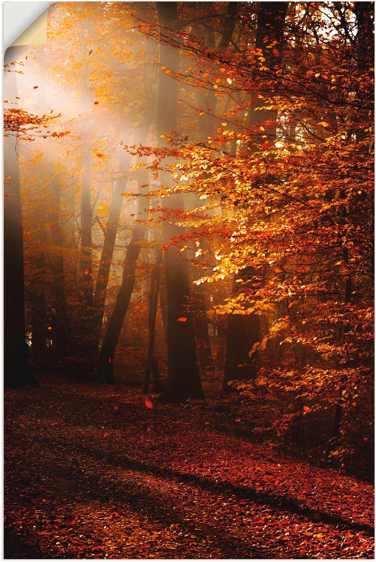 Leinwandbild, Wandaufkleber in Herbst, als (1 Wald Sonnenaufgang Wandbild Poster im oder St), versch. Größen Artland Alubild,