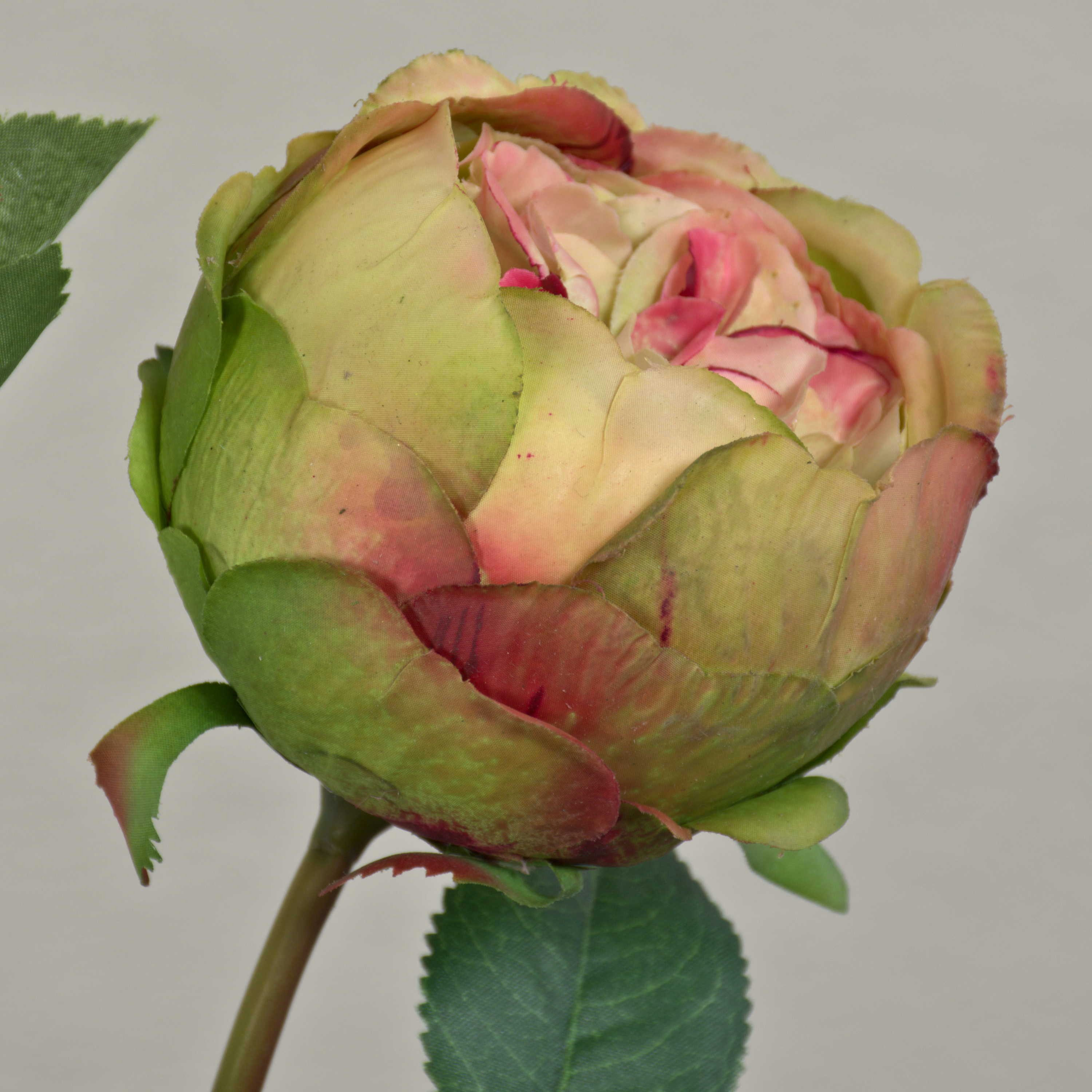 Kunstblume Kunst Kohl-Rose MIRETTA, grün-Burgunderrot, 60cm, Ø3-9cm - Textil Koh Rose (Kohl-Rose), artplants, Höhe 60.0 cm