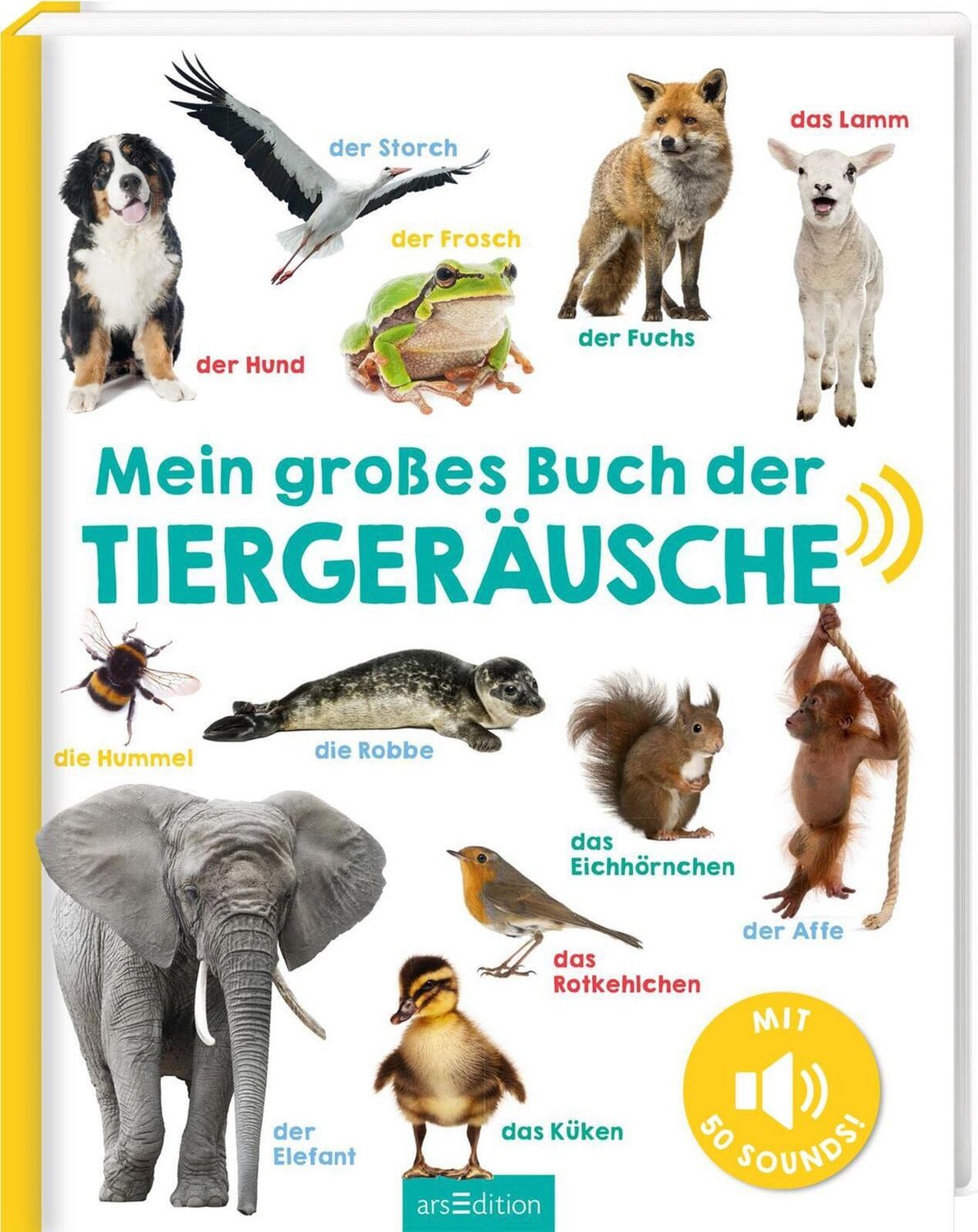 Mein großes Buch der Tiergeräusche / diverse, Mit 50 Sounds