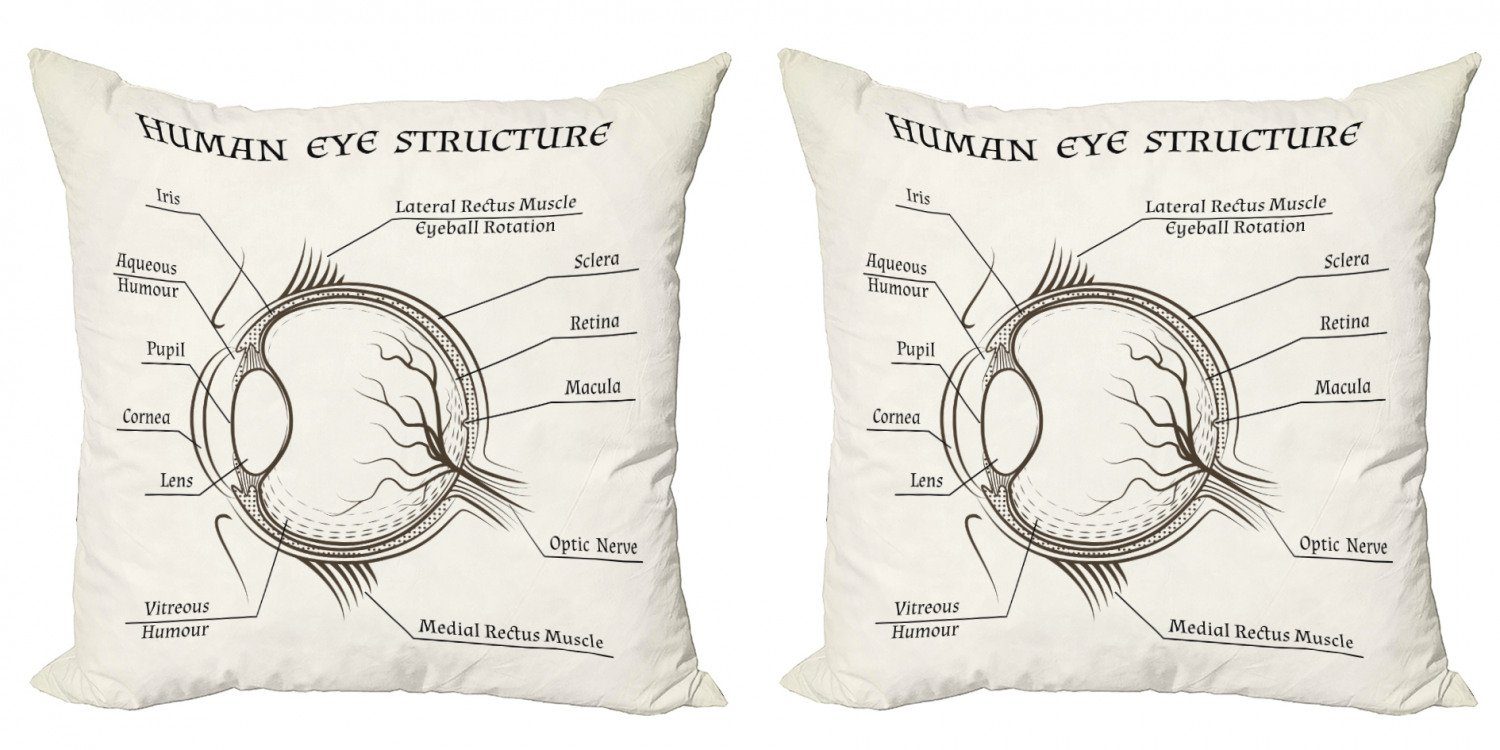 Kissenbezüge Modern Accent Doppelseitiger Digitaldruck, Abakuhaus (2 Stück), Biologie Struktur des menschlichen Auges