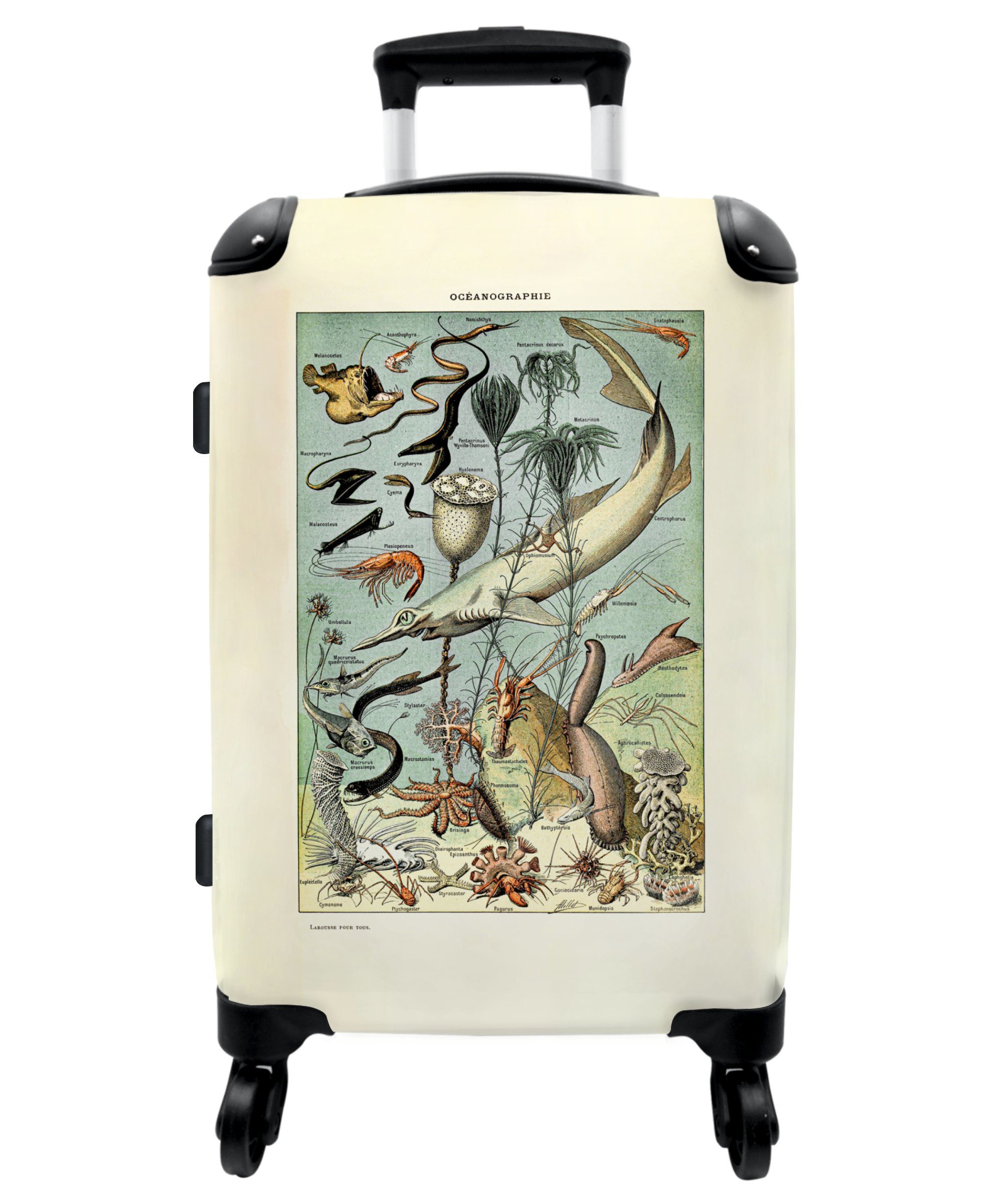 NoBoringSuitcases.com© Koffer 67x43x25cm Vintage - Meerestiere - Pflanzen - Korallen - Illustration, 4 Rollen, Aufgabegepäck Trolley Rollkoffer Große Reisekoffer mit 4 Rollen -