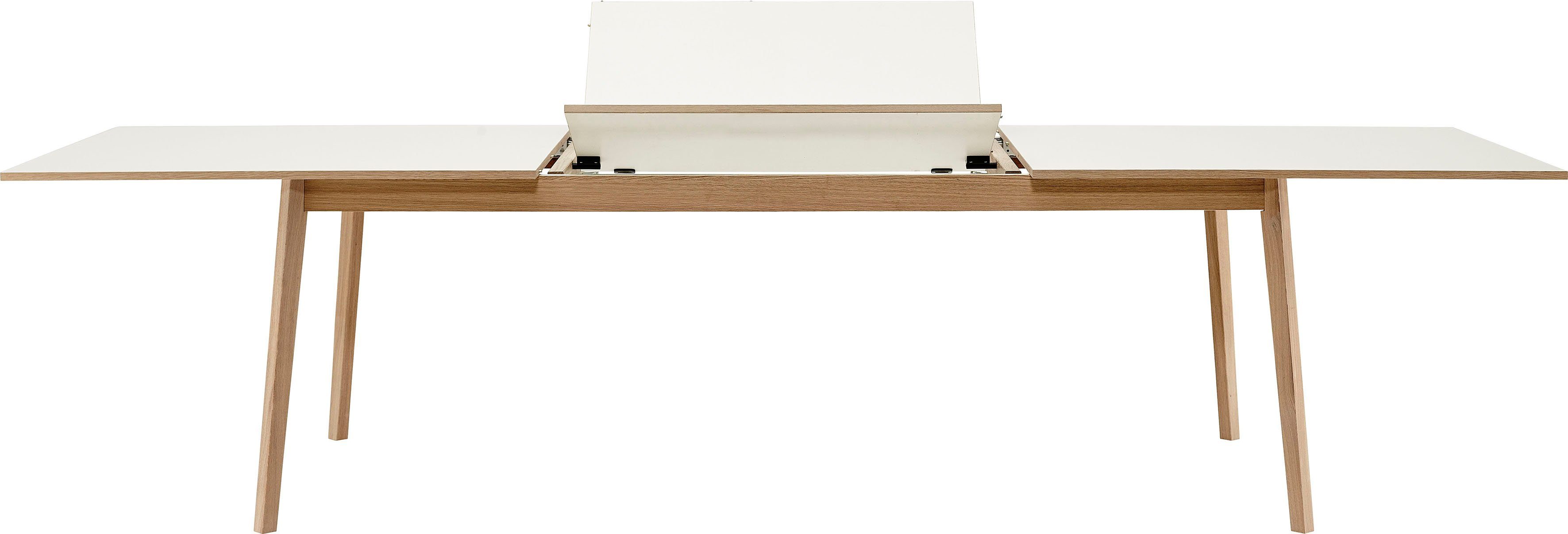 Gestell Hammel Furniture Eiche aus Basic Melamin 220(310)x100 Hammel und Avion, by Esstisch cm, in Tischplatte