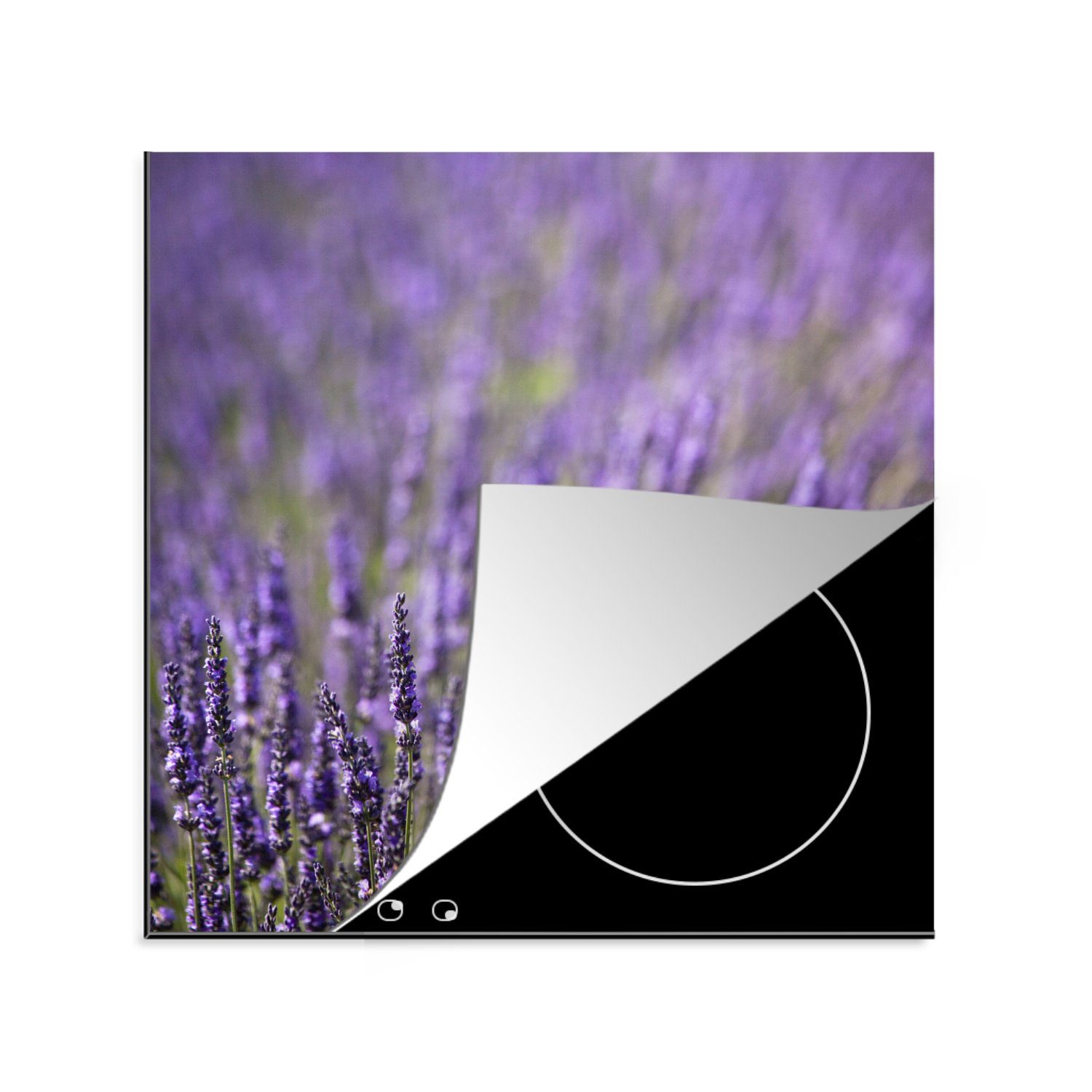 MuchoWow Herdblende-/Abdeckplatte Nahaufnahme eines lilafarbenen Lavendelfeldes, Vinyl, (1 tlg), 78x78 cm, Ceranfeldabdeckung, Arbeitsplatte für küche