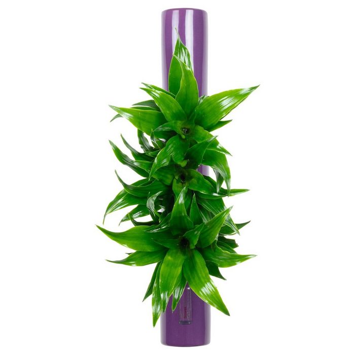 Flowerbox Wanddekoobjekt Tube - violett - 40x6 5 cm
