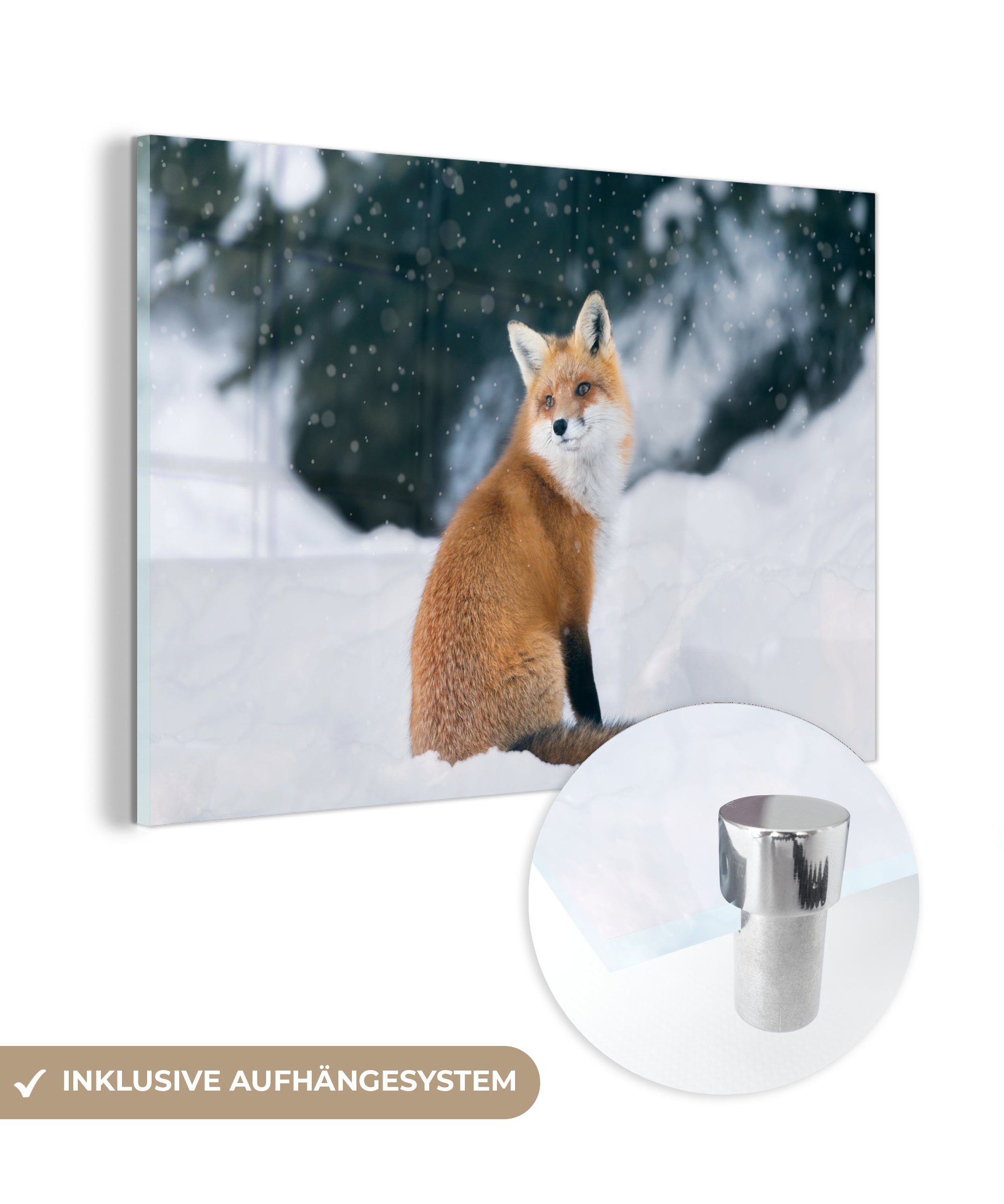 - - Kanada, Acrylglasbild St), - Schnee Schlafzimmer Fuchs MuchoWow Wohnzimmer (1 Acrylglasbilder Tier &