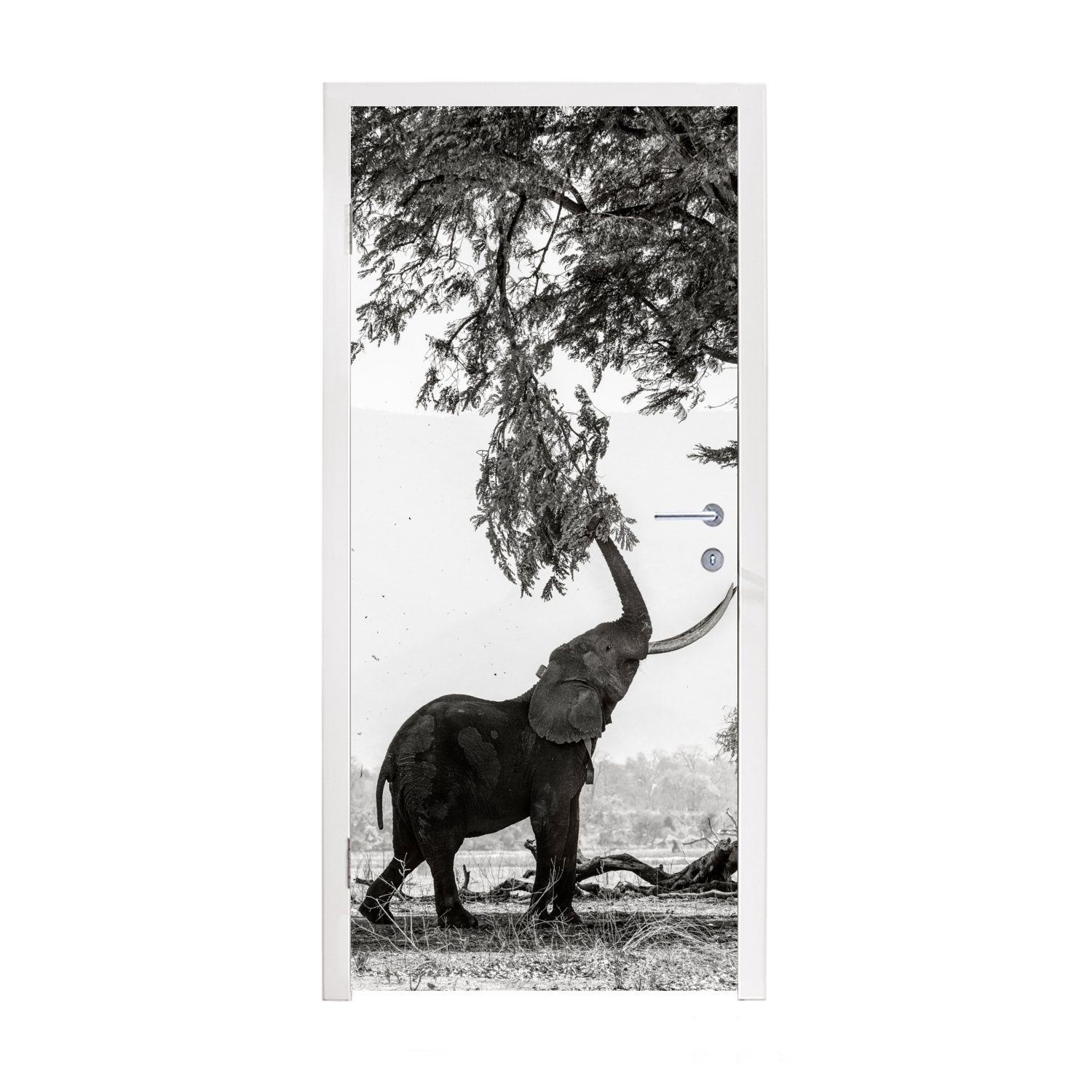 MuchoWow Türtapete Elefant - Baum - Tiere - Schwarz und weiß, Matt, bedruckt, (1 St), Fototapete für Tür, Türaufkleber, 75x205 cm | Türtapeten