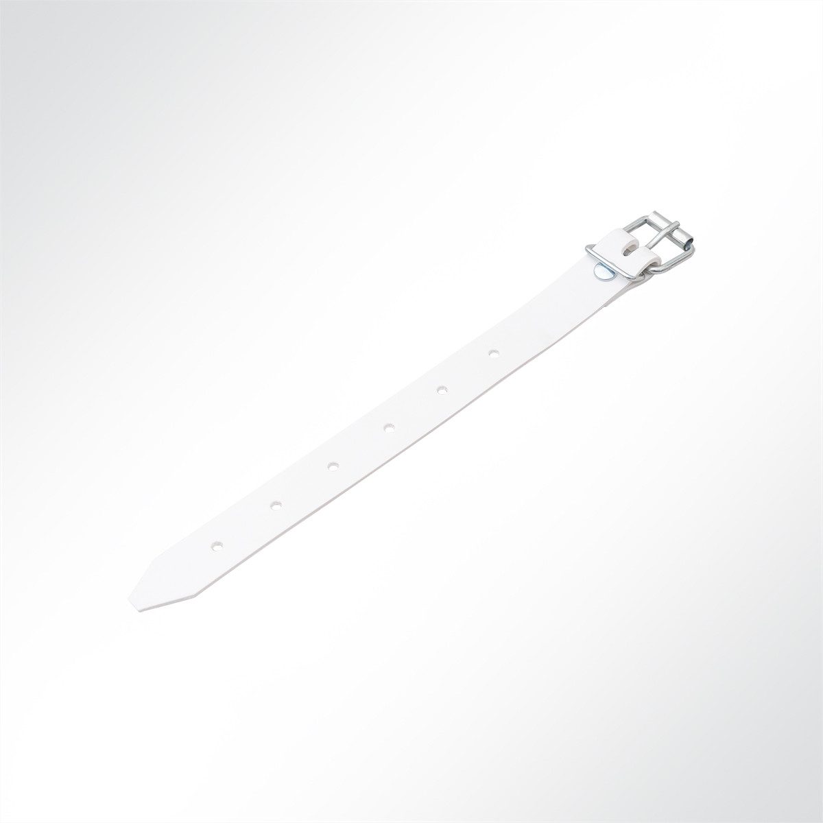 LYSEL® Schnallriemen mit Rollschnalle für Planen Weiß, Länge 200mm Gurtstecker (1-tlg), 200 x 20 mm [L x B]