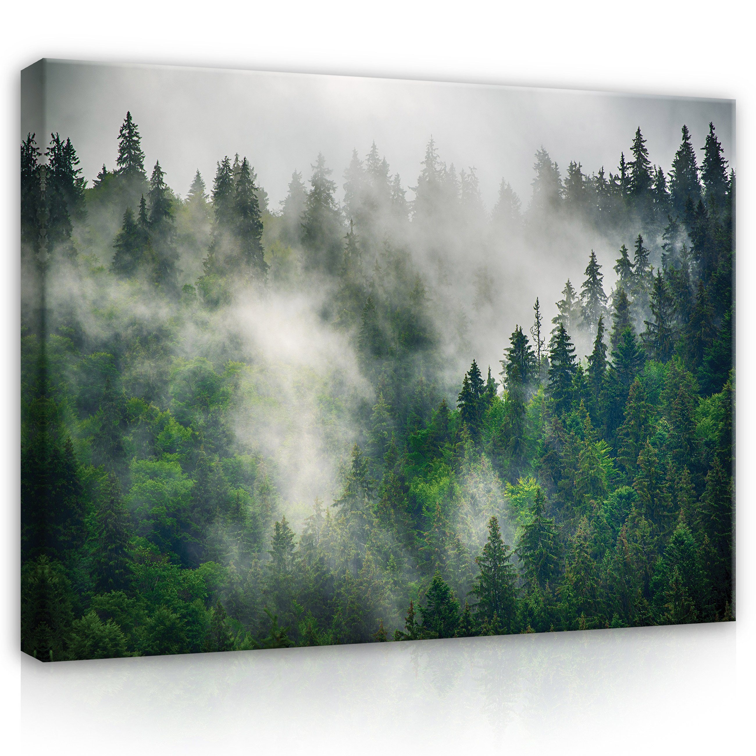 Wallarena Leinwandbild Wald im Nebel Landschaft Grün Natur Wandbild XXL Lei günstig online kaufen