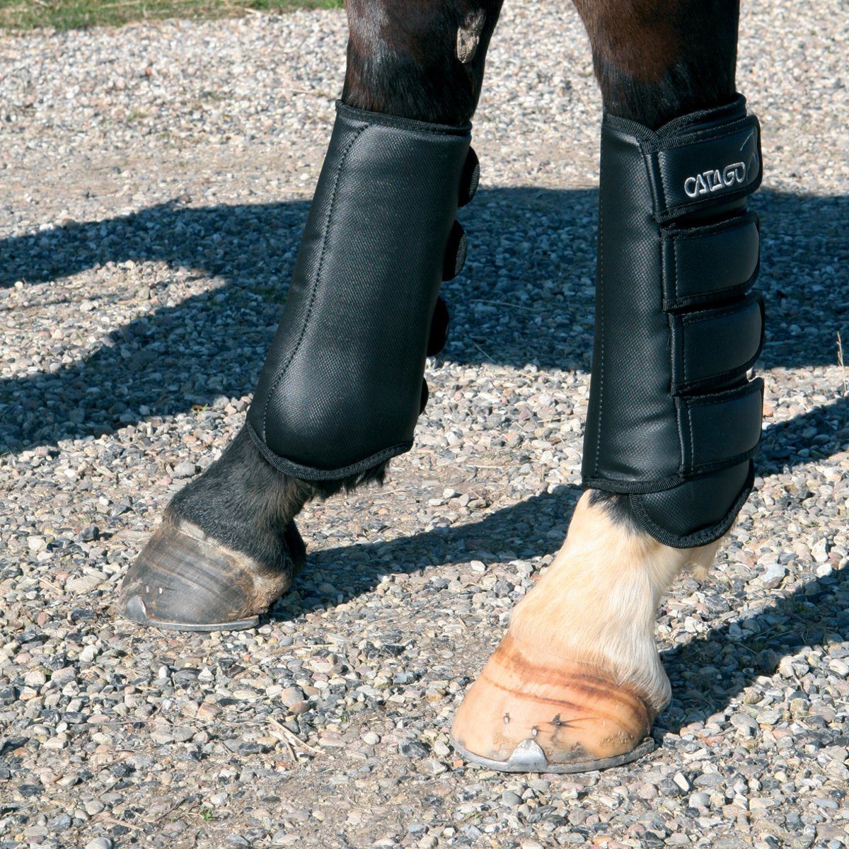 CATAGO Gamaschen Dressurgamaschen, schwarz