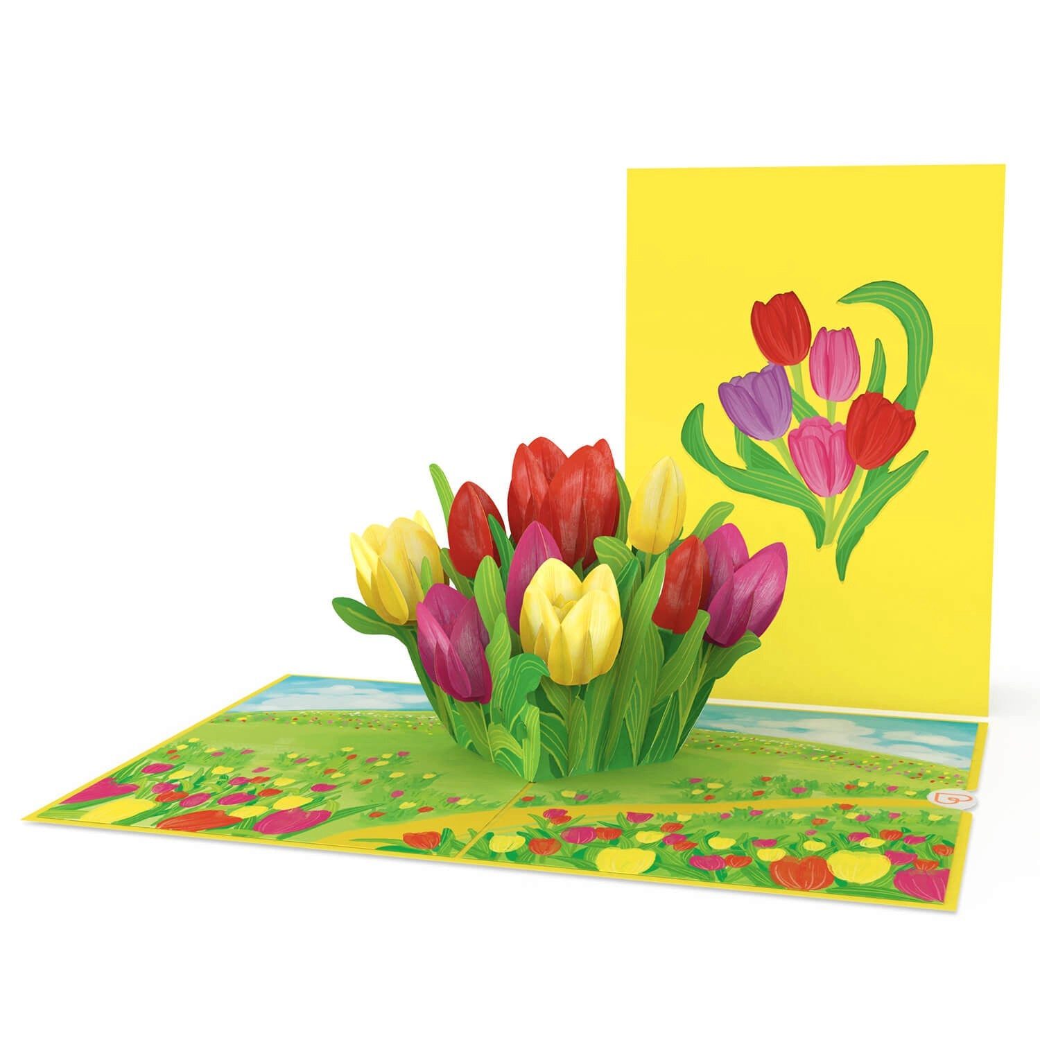 papercrush Geburtstagskarte Bunte Tulpenwiese Pop-Up Karte