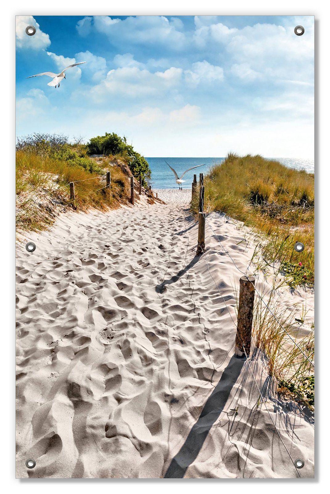Sonnenschutz Möwen mit blickdicht, wiederablösbar Weg Strand, Saugnäpfen, Wallario, zum dem und auf wiederverwendbar