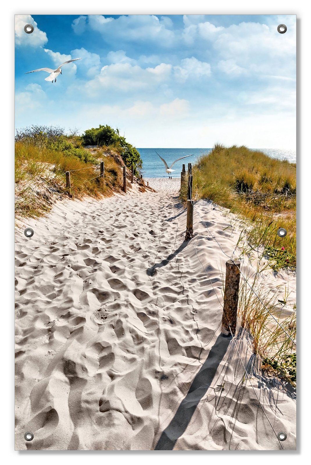 Sonnenschutz Möwen auf dem Weg Strand, zum blickdicht, wiederablösbar Wallario, wiederverwendbar mit und Saugnäpfen