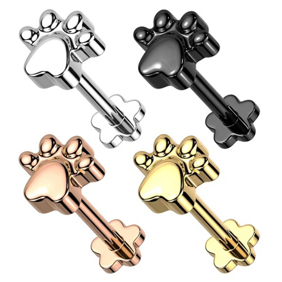 Taffstyle Piercing-Set Titan Tragus Knorpel Helix Universal Stecker Hundepf günstig online kaufen