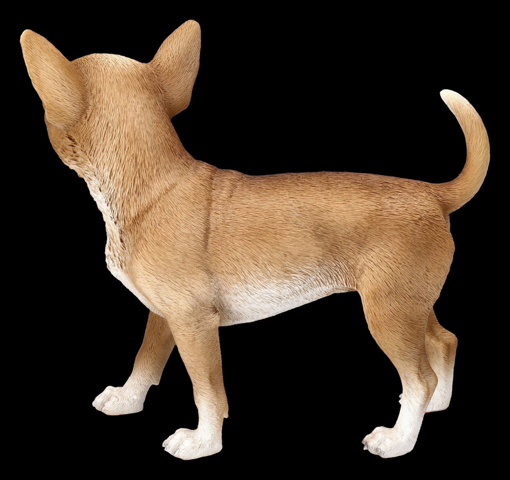 GmbH Figuren Tierfigur Shop Figur Tierdeko Dekofigur - Chihuahua Hunde