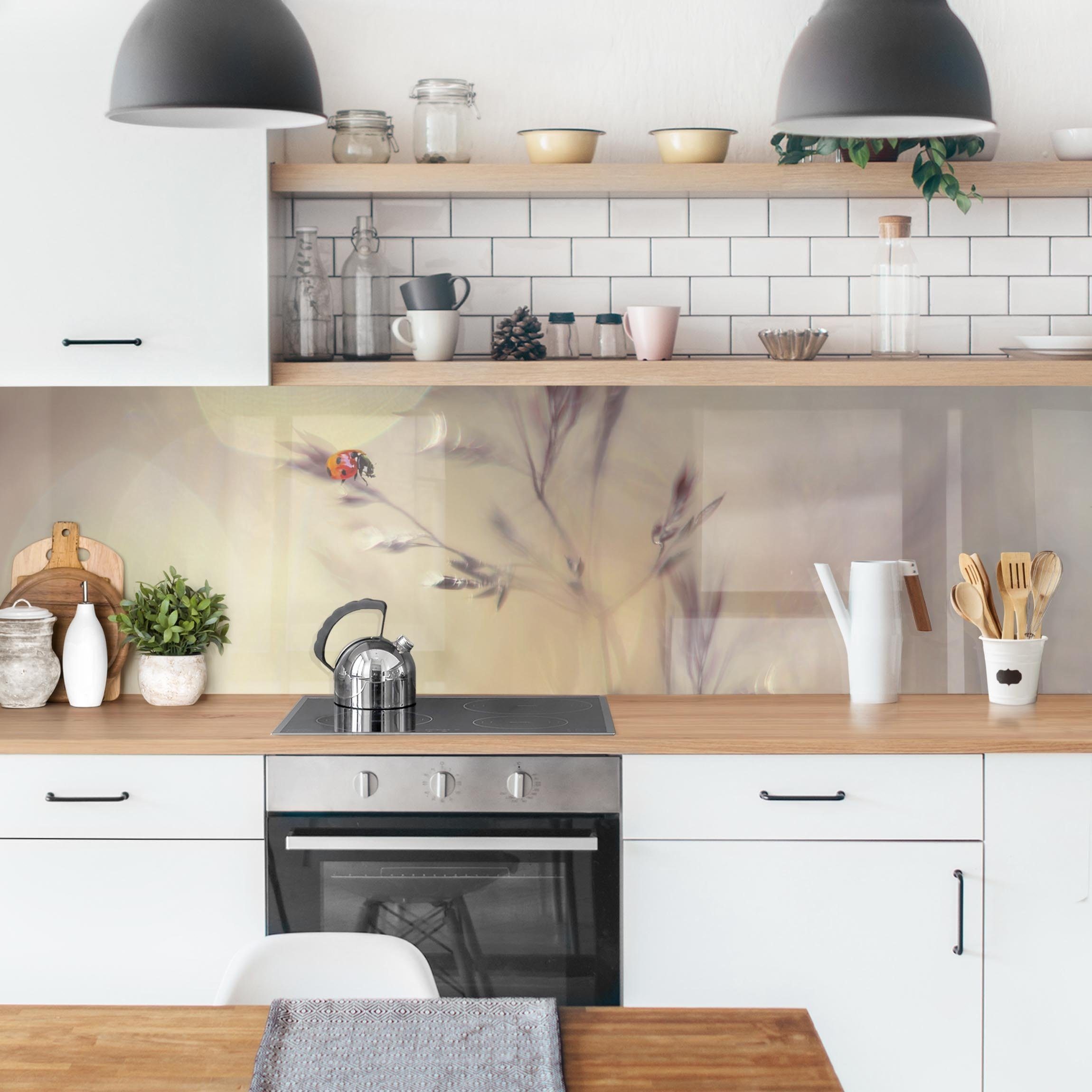 Bilderdepot24 Küchenrückwand beige dekor Gräser Tiere günstig online kaufen