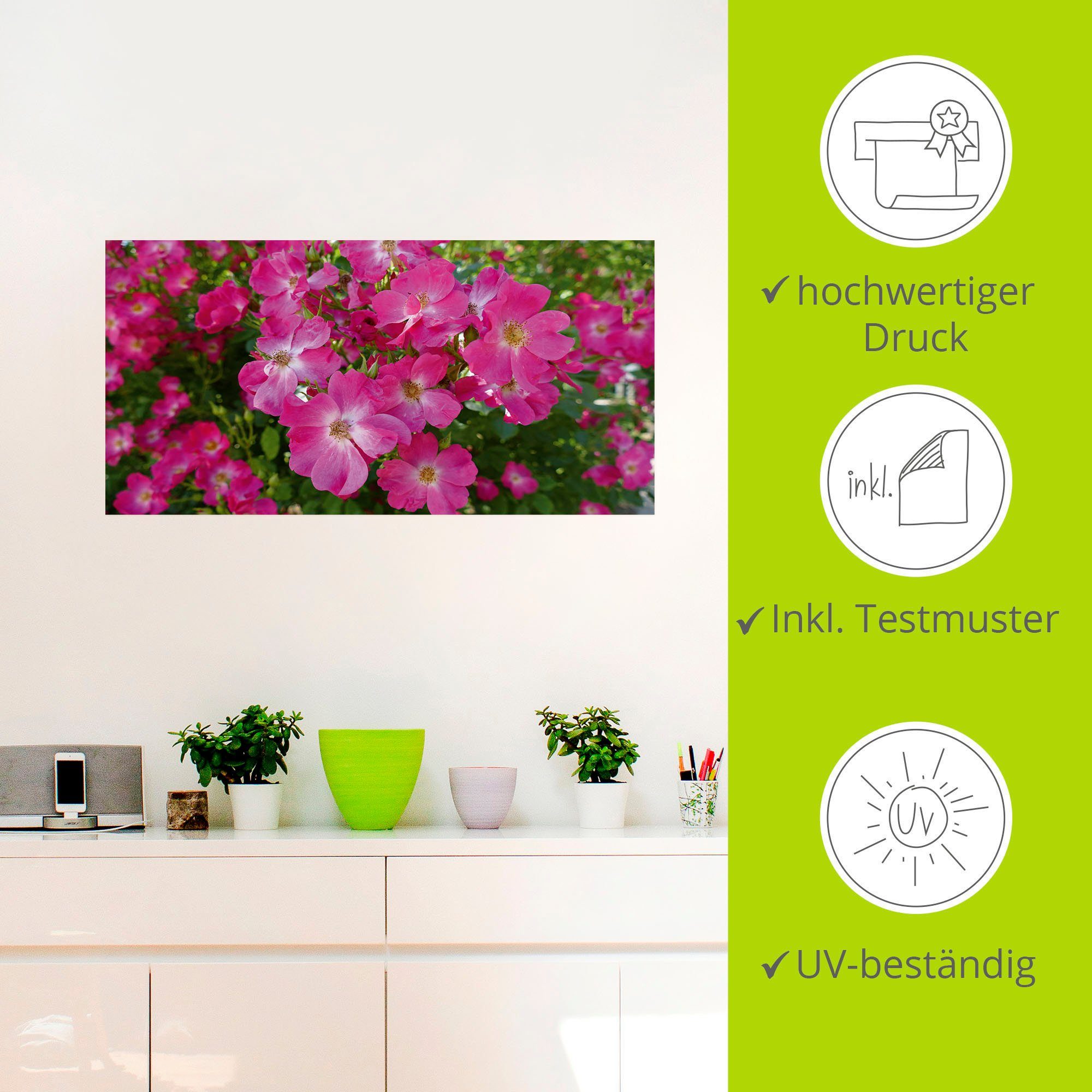 Alubild, als Blütenträume Pink, Blumenbilder Artland Wandbild Leinwandbild, Größen St), Poster oder (1 Wandaufkleber versch. in in