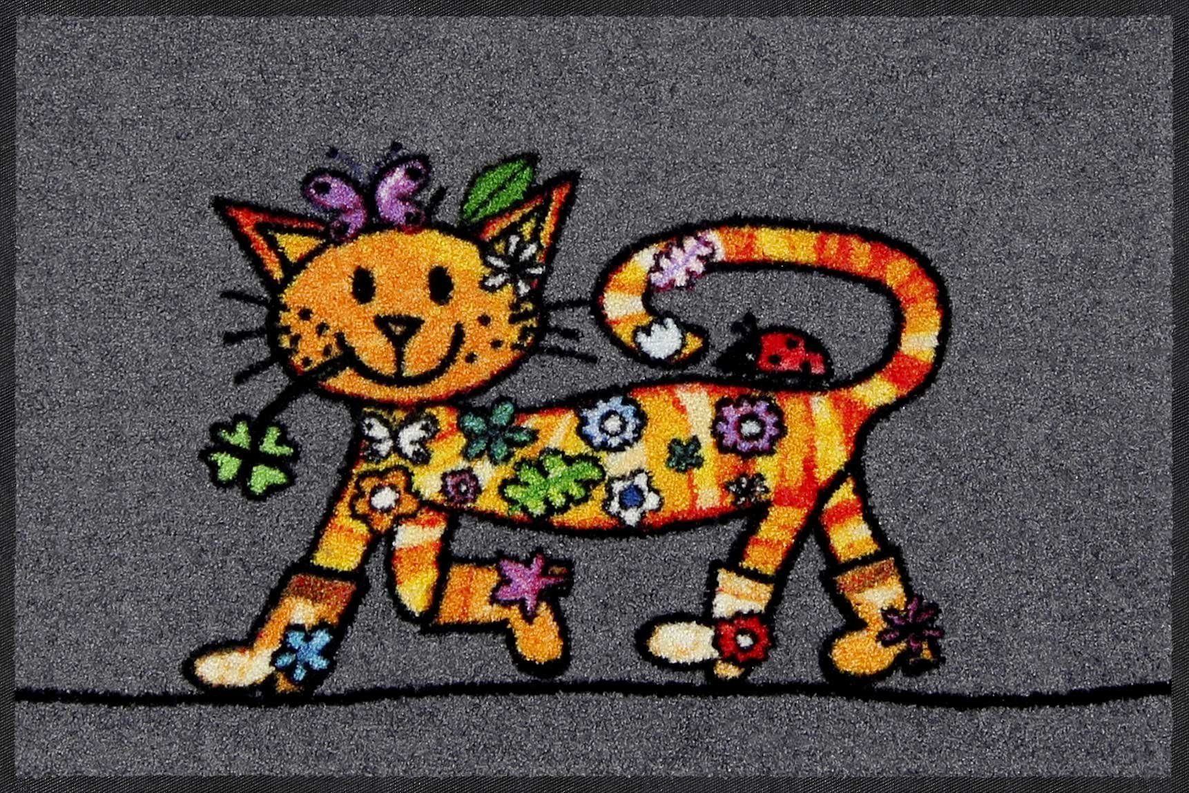 Salonloewe Fußmatte Fußmatte 50x75 Funky Cat grau, Eingangsmatte normal, Höhe: 500 mm