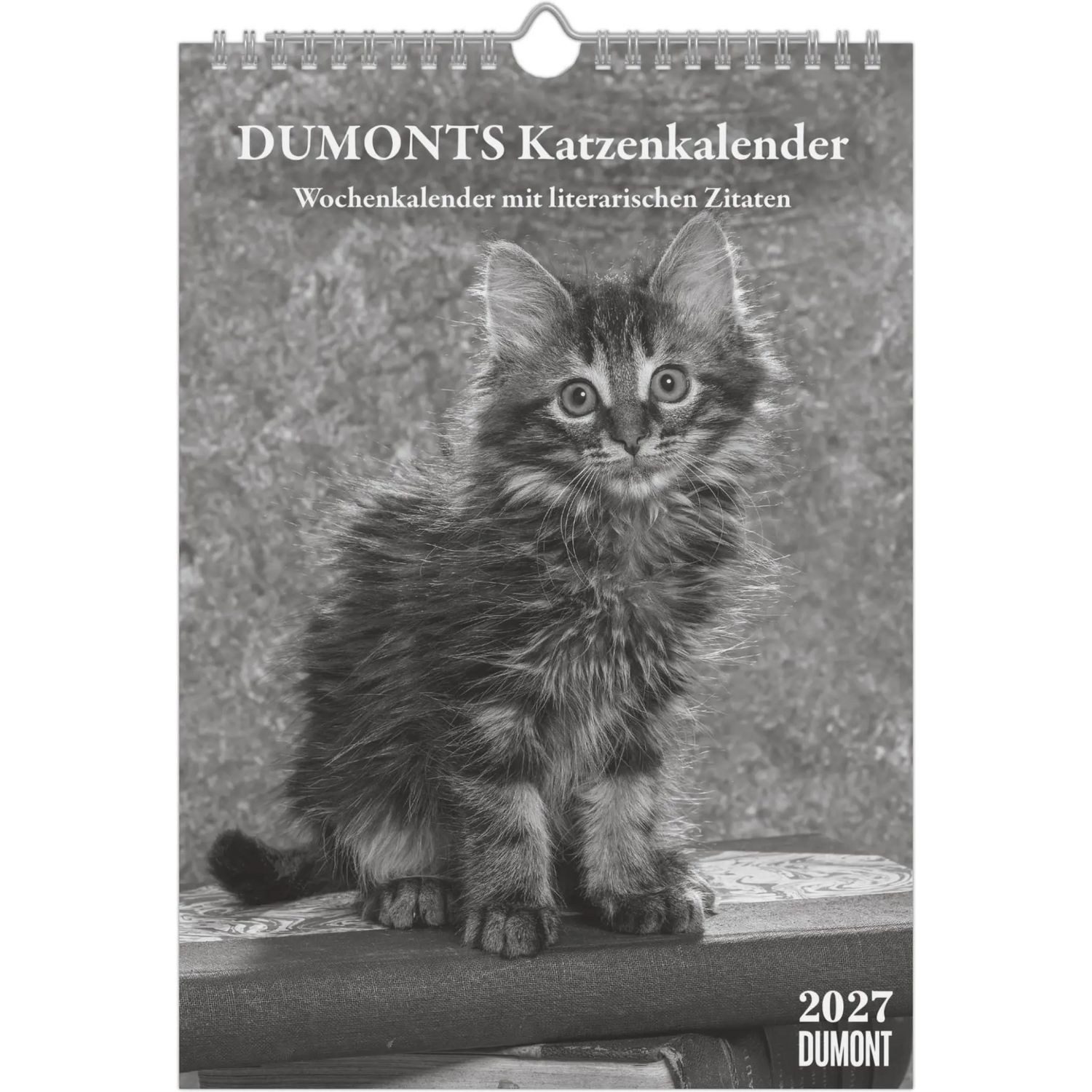 DUMONT Wandkalender DUMONTS Katzenkalender 2027