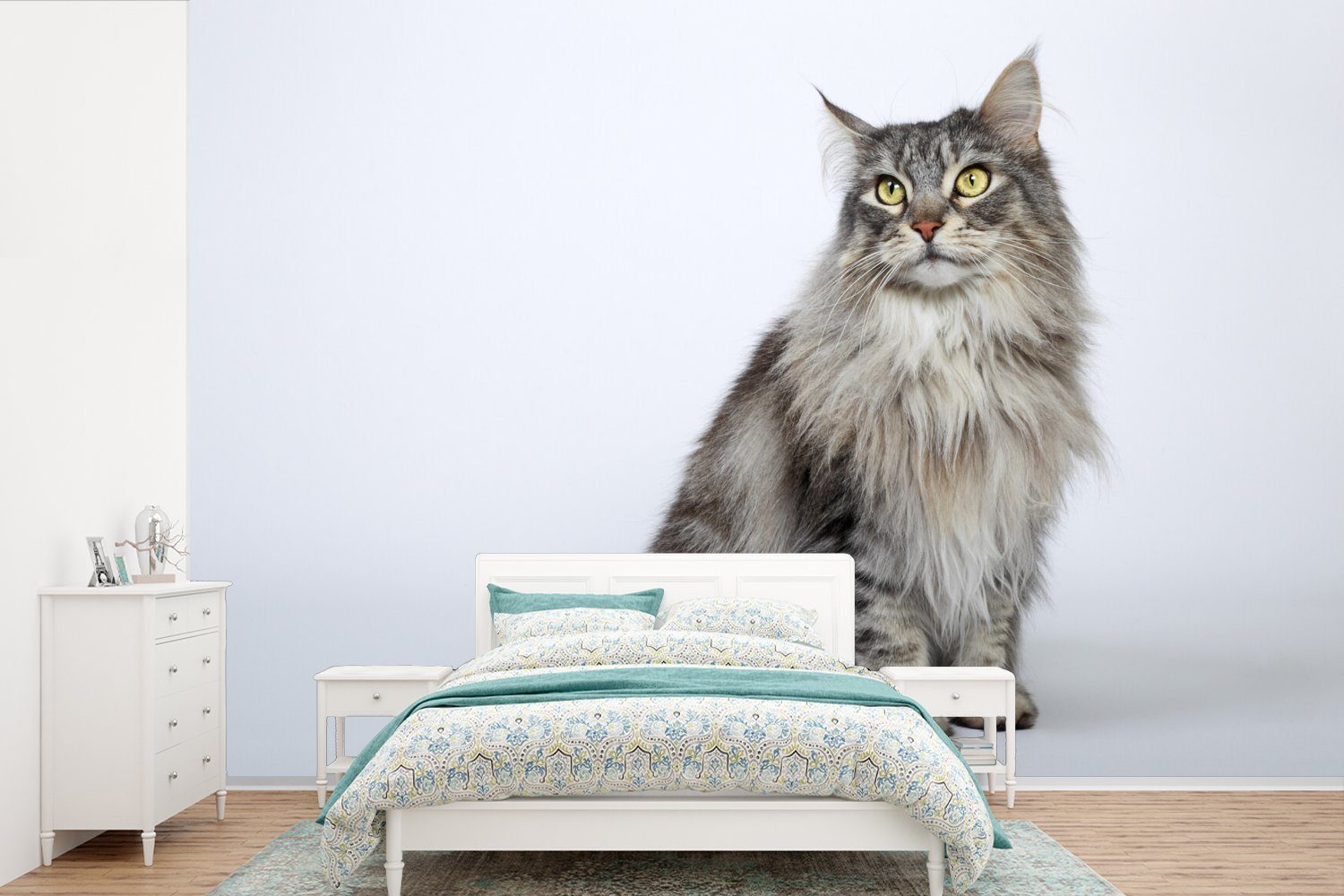 MuchoWow Fototapete Porträt einer grauen Maine Coon Katze, Matt, bedruckt, (6 St), Wallpaper für Wohnzimmer, Schlafzimmer, Kinderzimmer, Vinyl Tapete