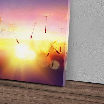 Sinus Art Leinwandbild 120x80cm Wandbild auf Leinwand Sonnenuntergang Abendröte Pusteblume Fo, (1 St)