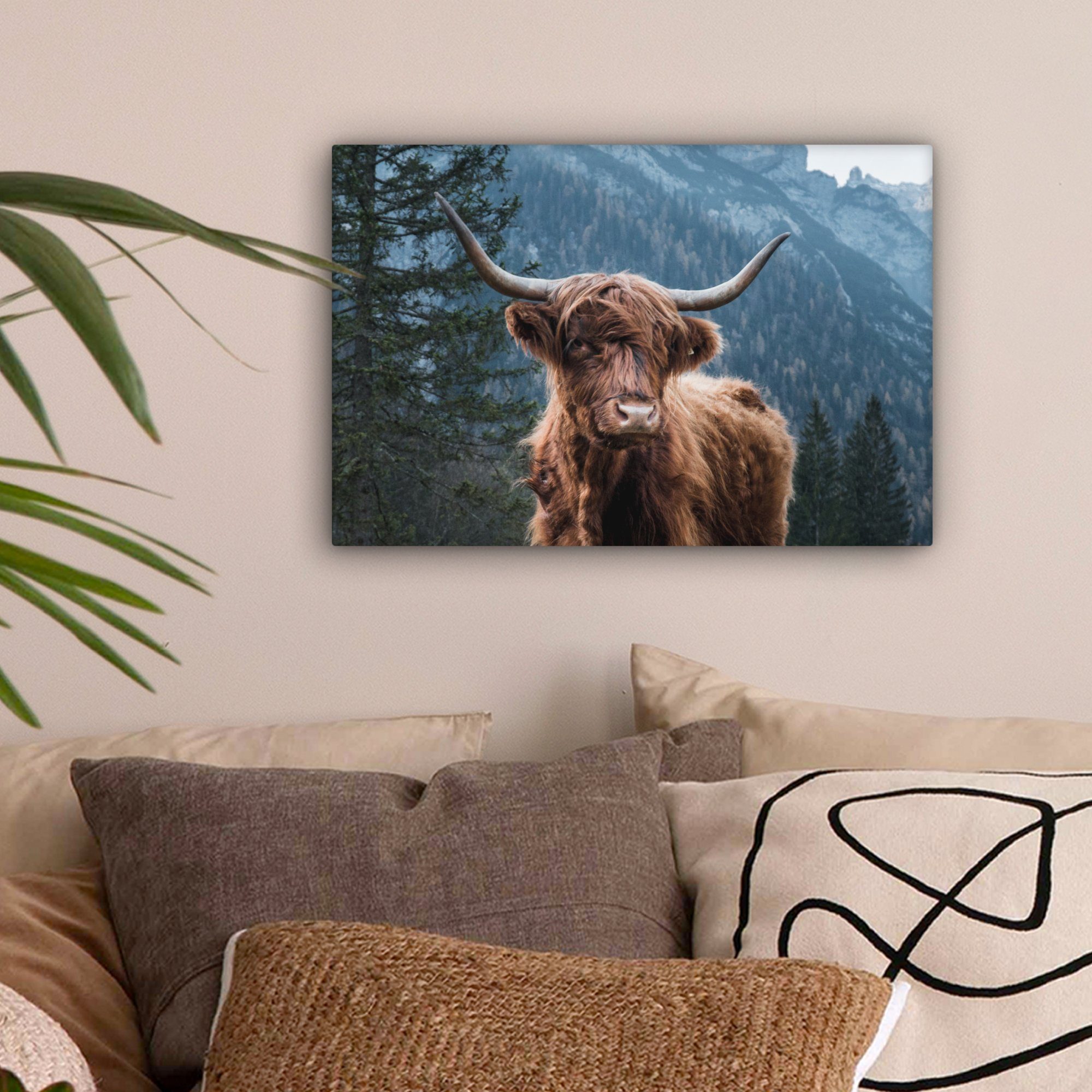 OneMillionCanvasses® Leinwandbild Schottischer Highlander - Wald günstig online kaufen