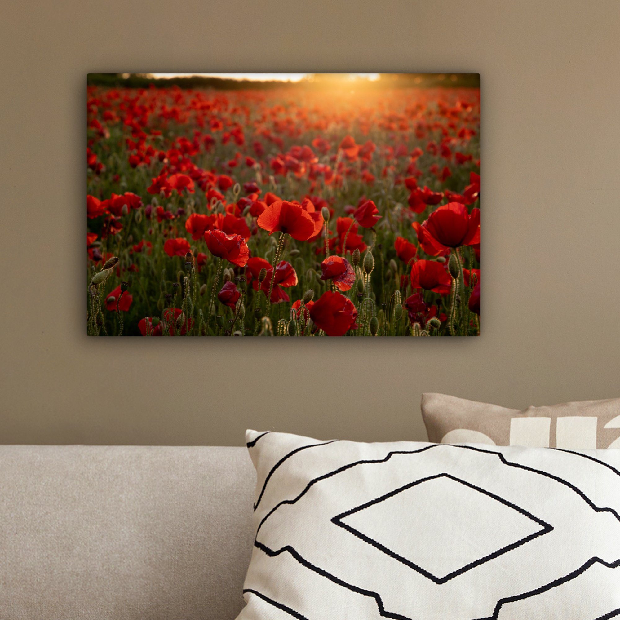 Leinwandbilder, OneMillionCanvasses® Aufhängefertig, (1 Leinwandbild - Mohn St), Rot, cm Wanddeko, - Wandbild Blumen 30x20