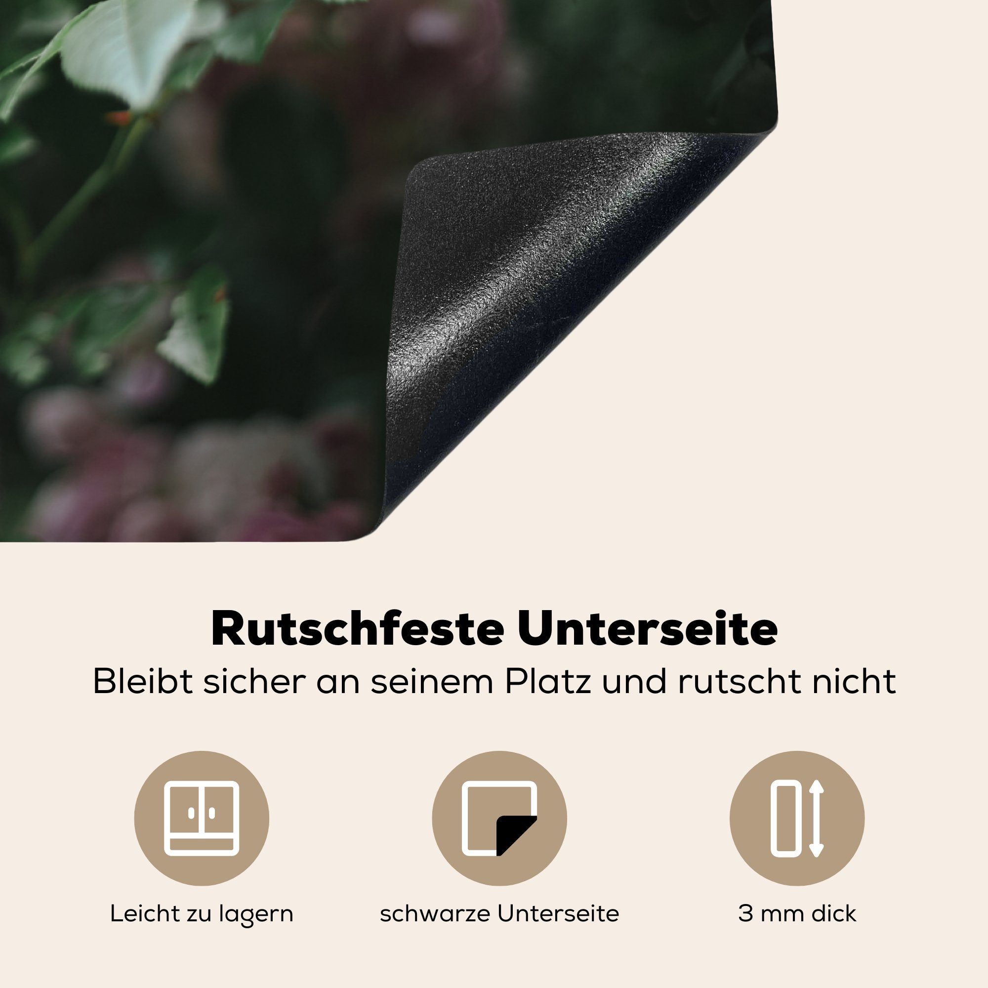 Schutz Rosa - 81x52 Ceranfeldabdeckung (1 Vinyl, MuchoWow Kletterrose cm, für - Blatt, küche, Herdblende-/Abdeckplatte die Induktionskochfeld tlg),