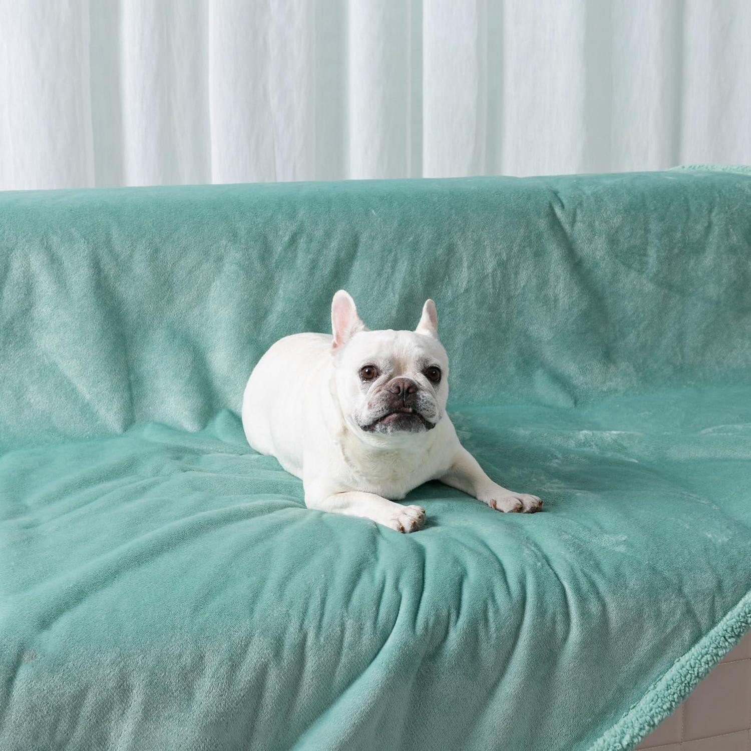 LuxusKollektion Tierdecke Hundedecke Wendbar Grün XL