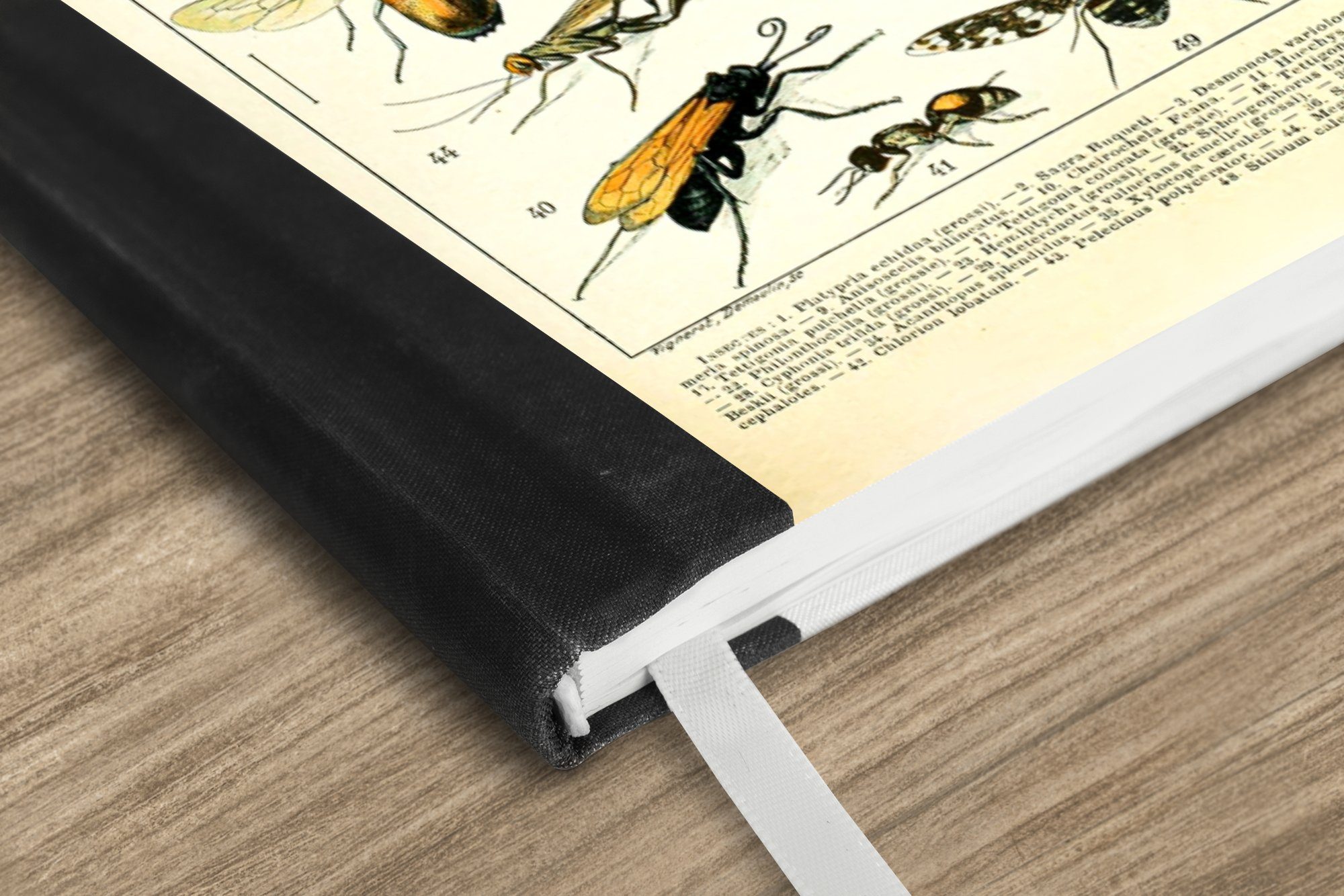 98 Notizbuch - - Jahrgang, Notizheft, Tiere Journal, A5, MuchoWow Merkzettel, Insekten Tagebuch, Haushaltsbuch Seiten,