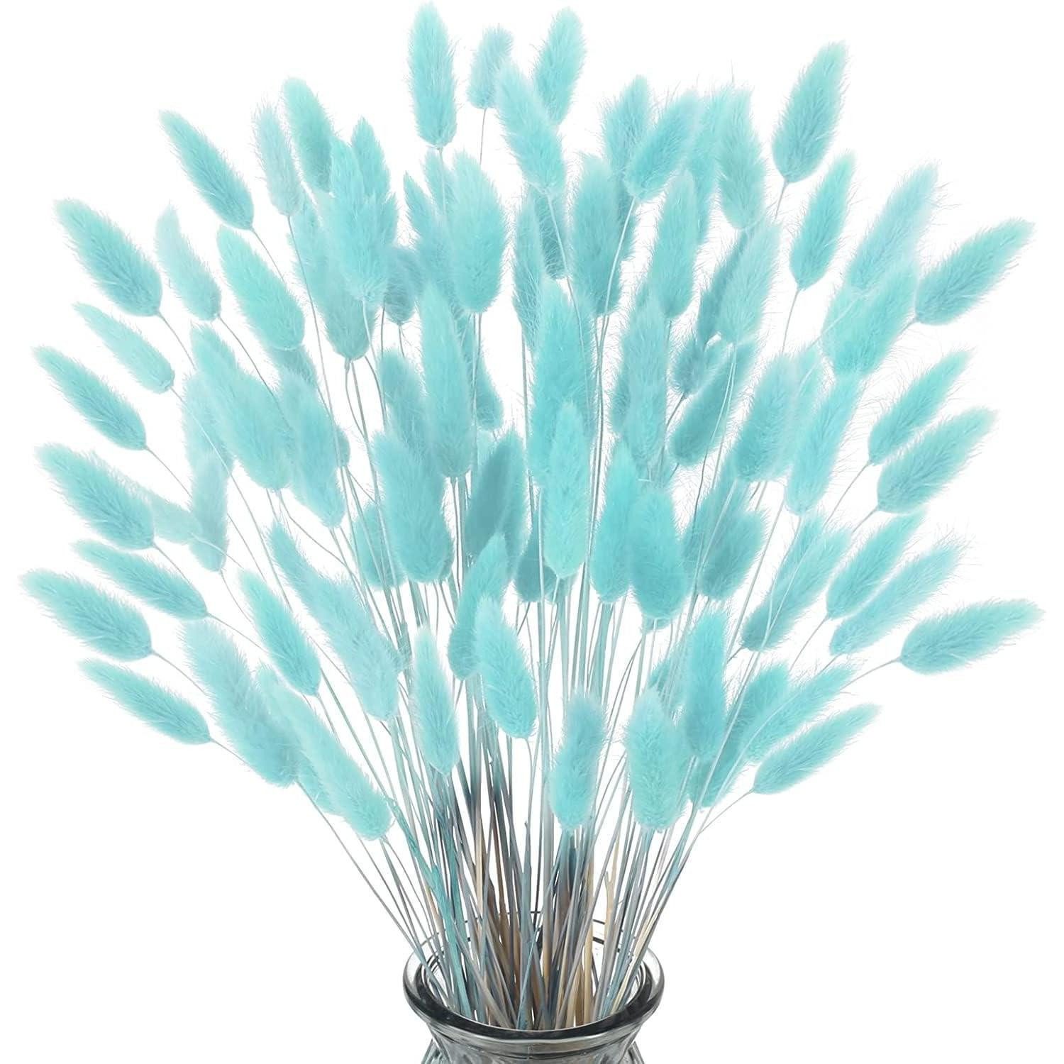 Trockenblume Trockenblumen Pampasgras 60 St. Tiffany-Blau, LuxusKollektion, Höhe 50 cm