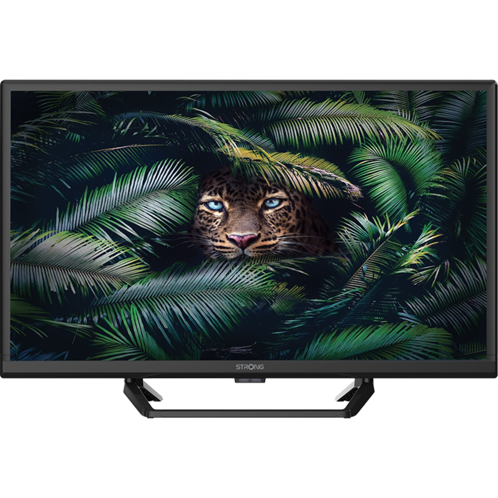 Strong SRT 24HE4023C LCD-LED Телевизоры